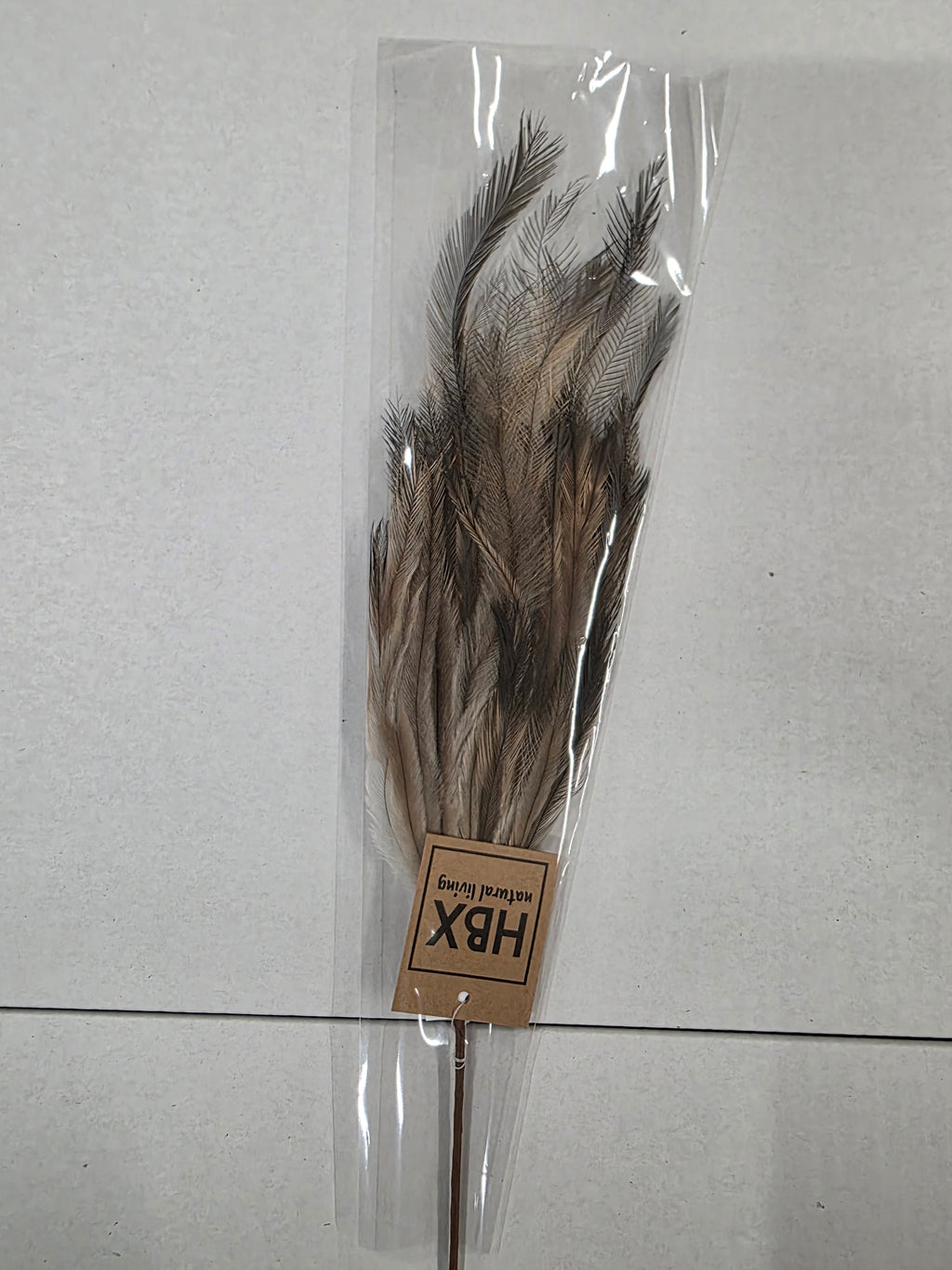 Feather Stem Hen Fontain 60x18cm (PACK OF 4)