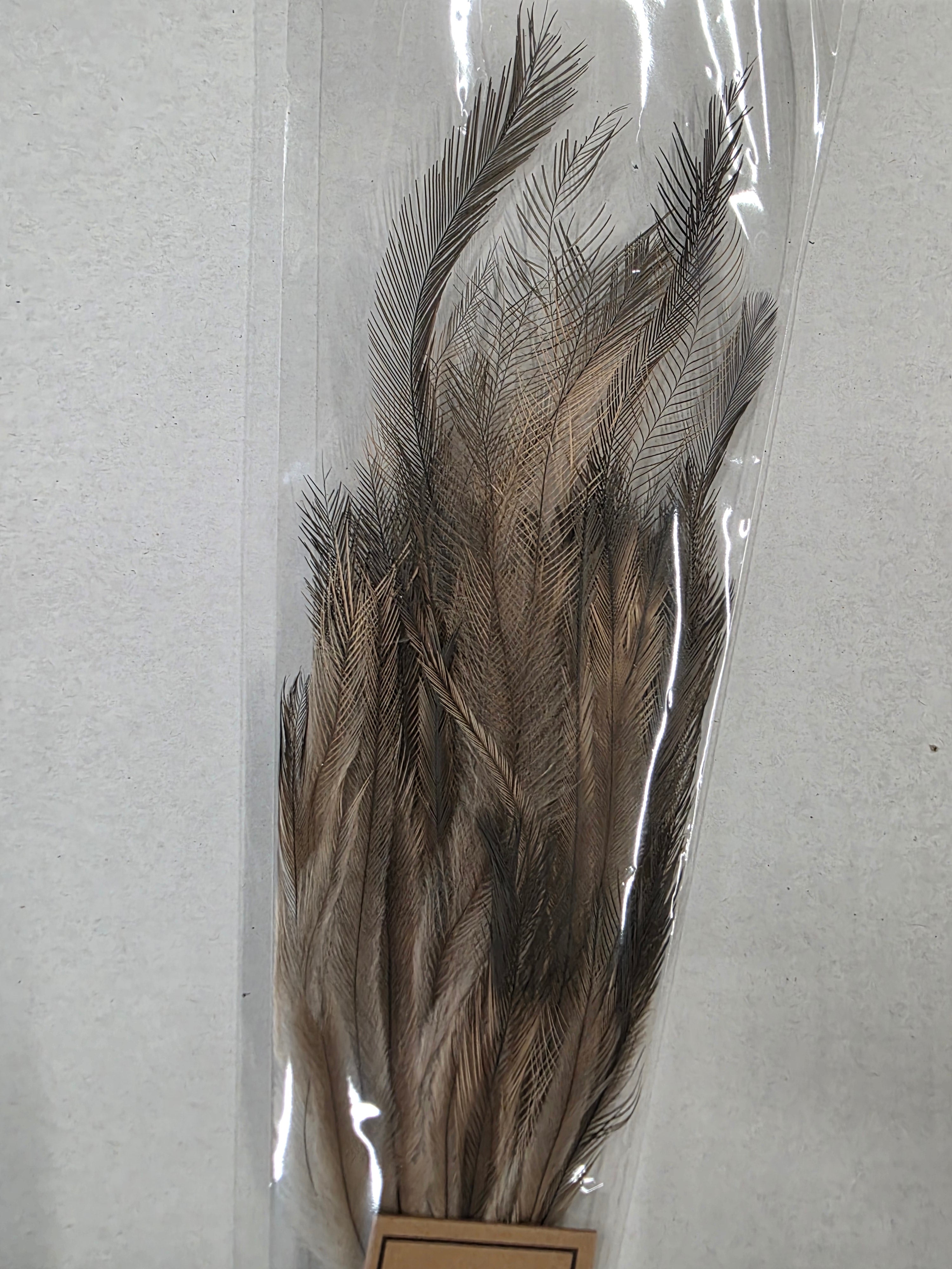 Feather Stem Hen Fontain 60x18cm (PACK OF 4)