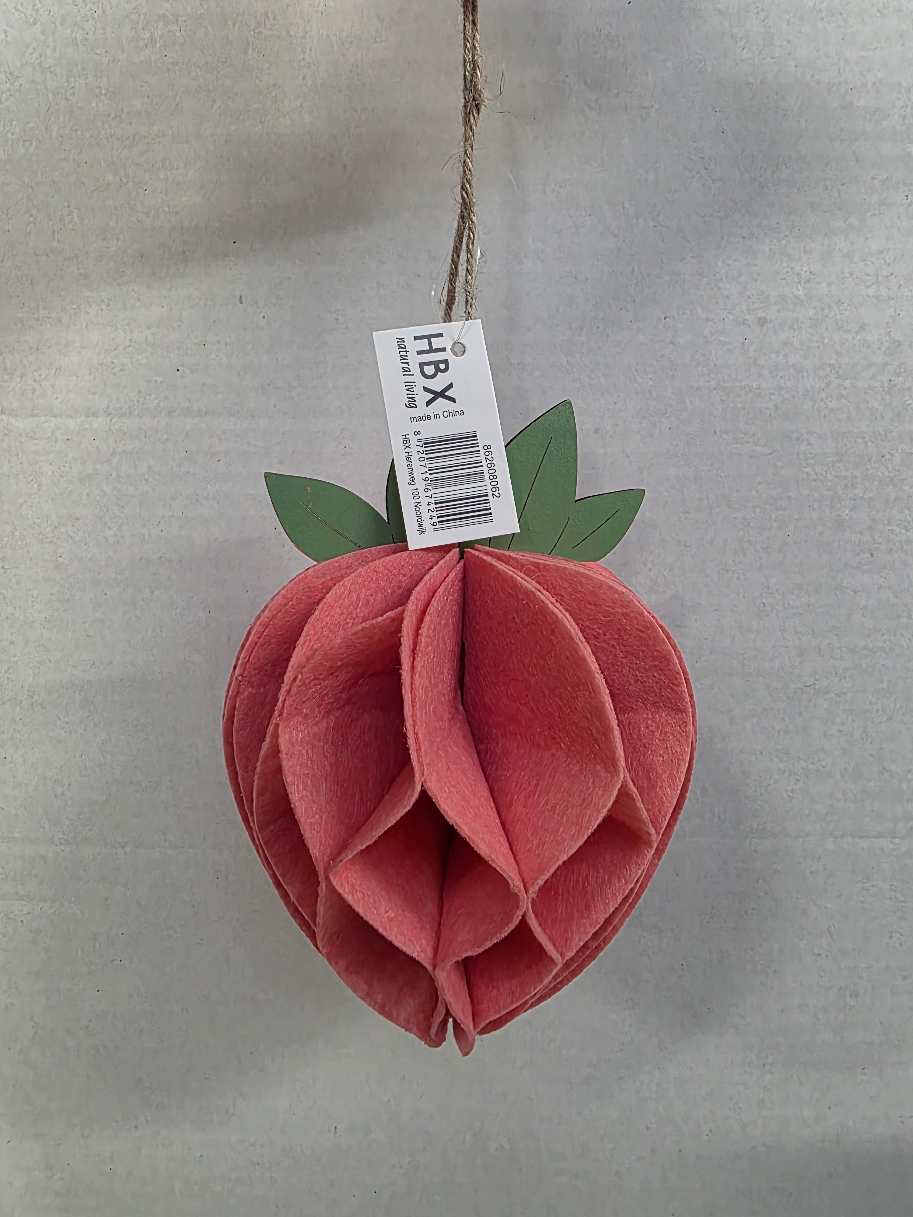 Felt Hanger Strawberry Pink 11x11x15cm (pack of 2)
