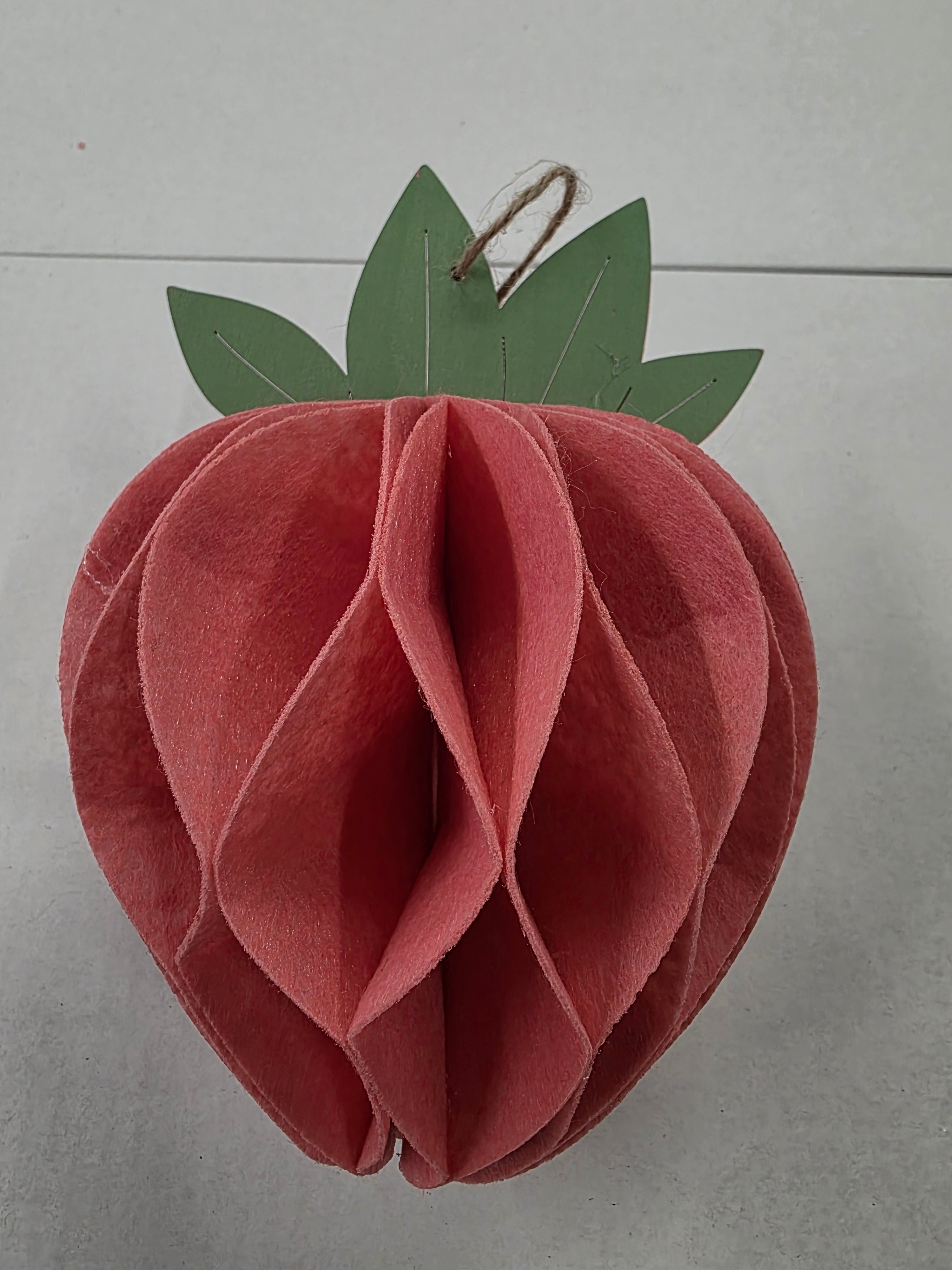 Felt Hanger Strawberry Pink 14x14x20cm (pack of 2)