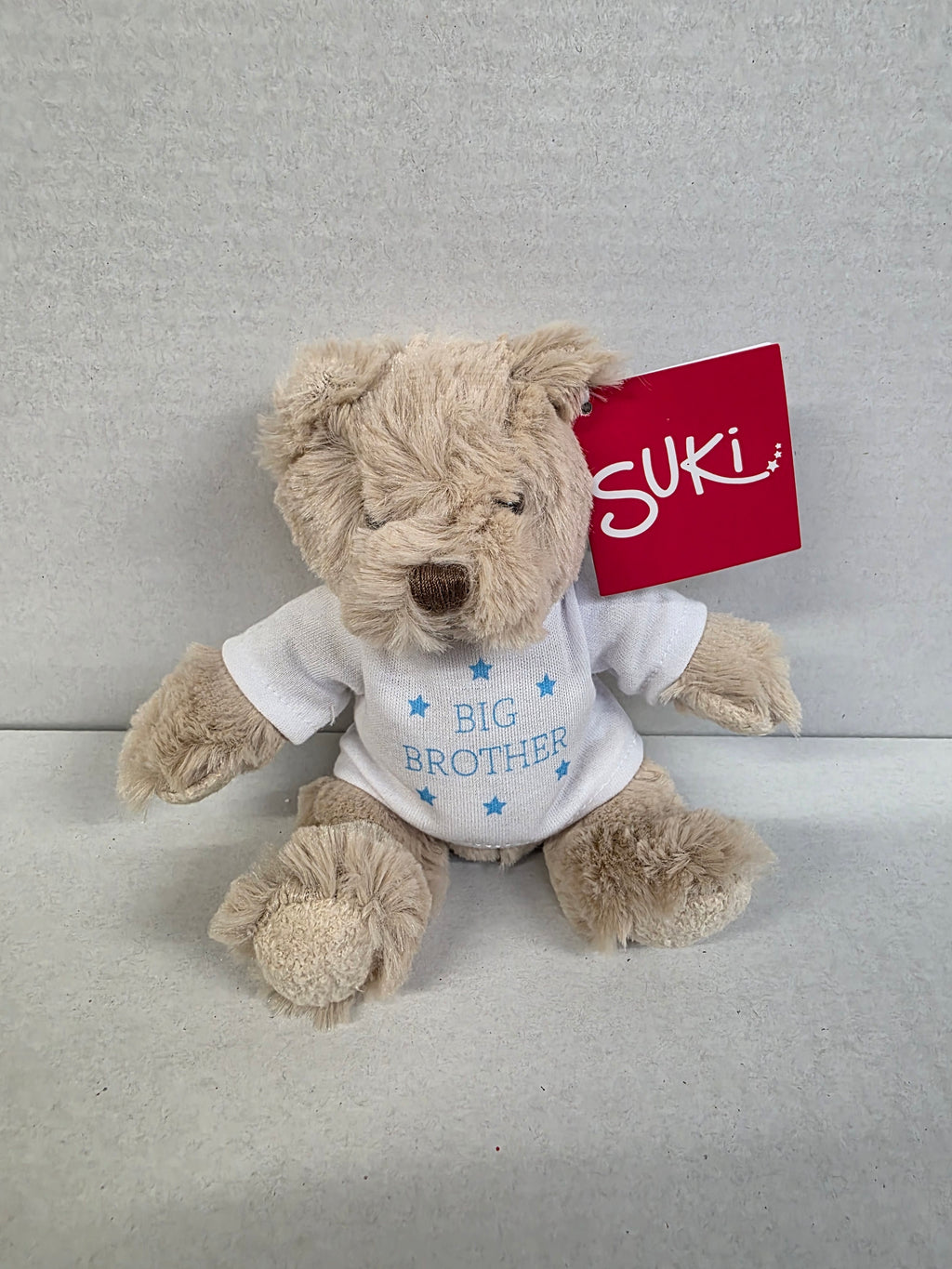 Suki Bartley Bear Big Brother 16cm