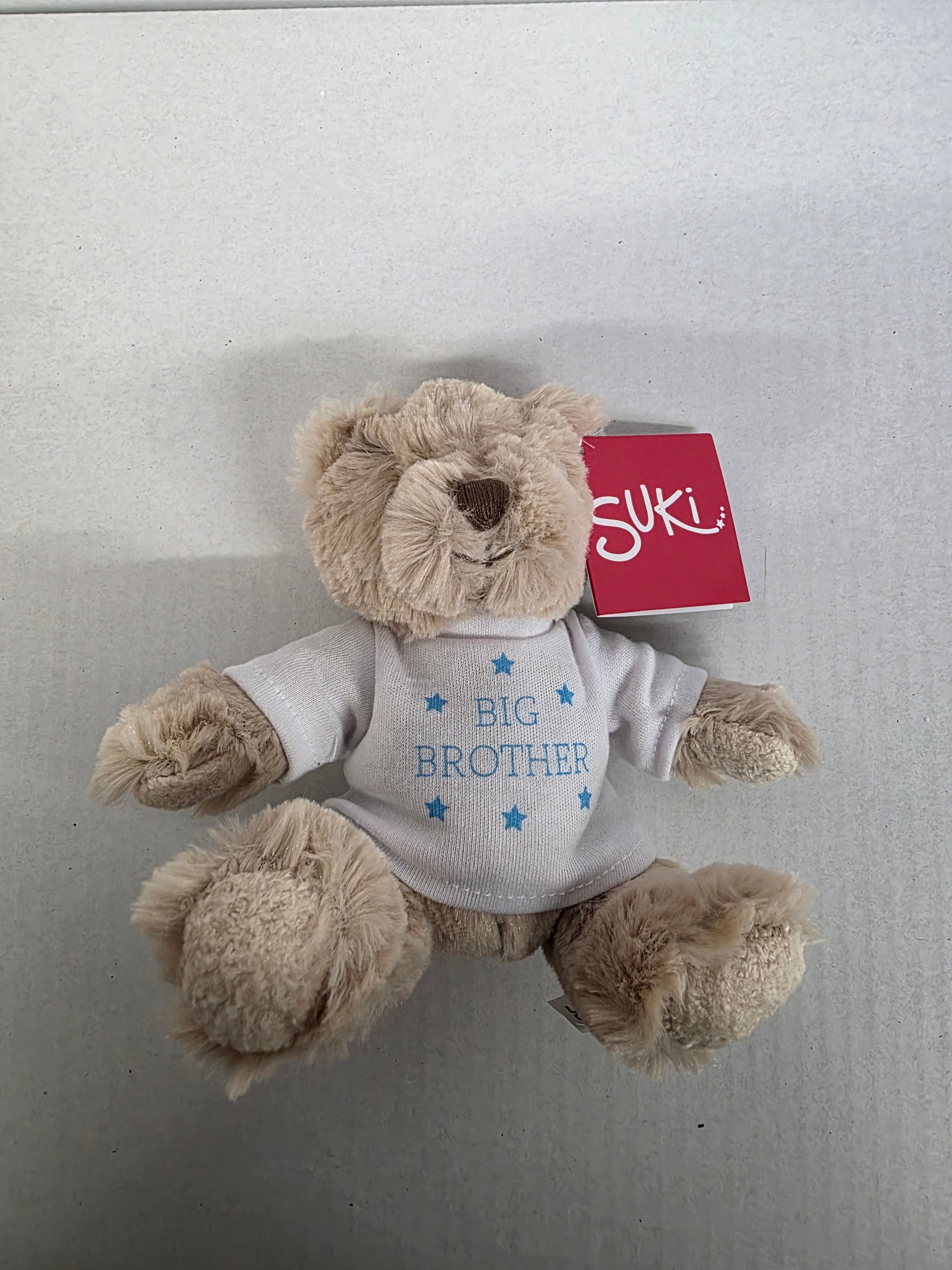 Suki Bartley Bear Big Brother 16cm