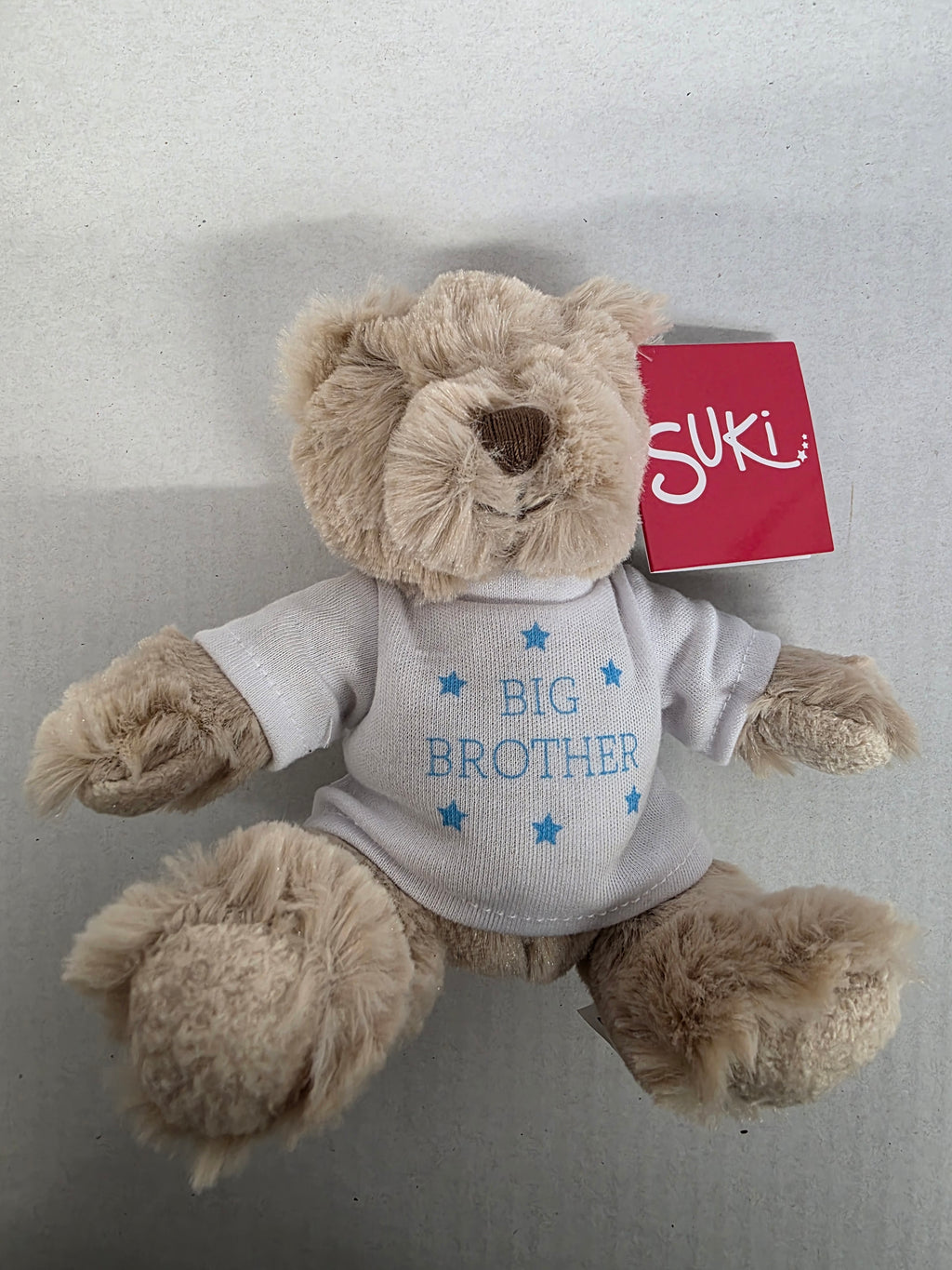 Suki Bartley Bear Big Brother 16cm