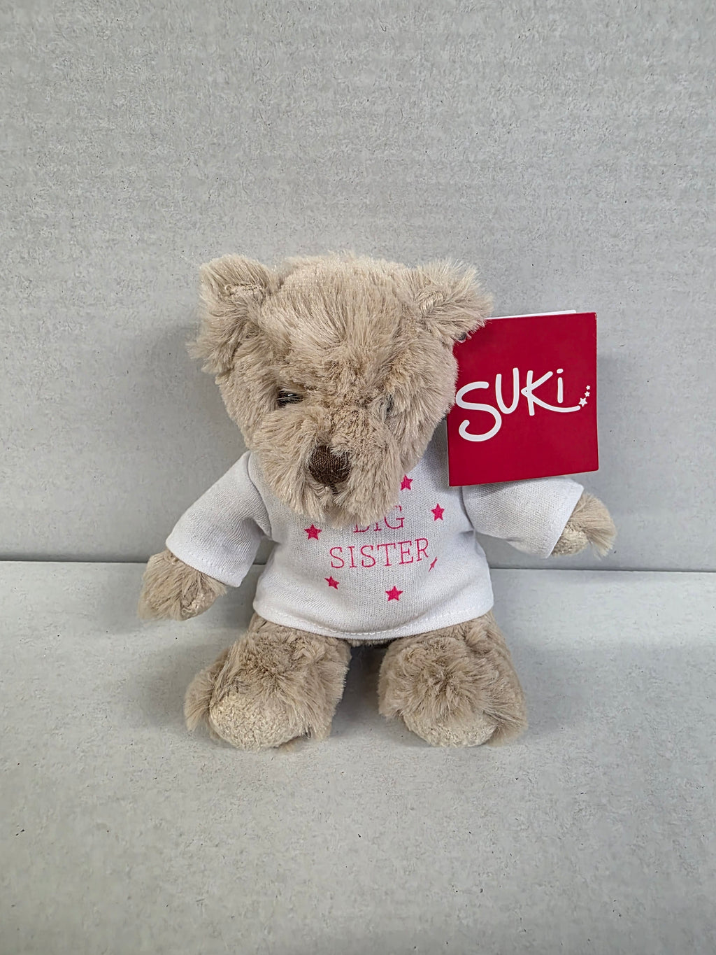 Suki Bartley Bear Big Sister 16cm