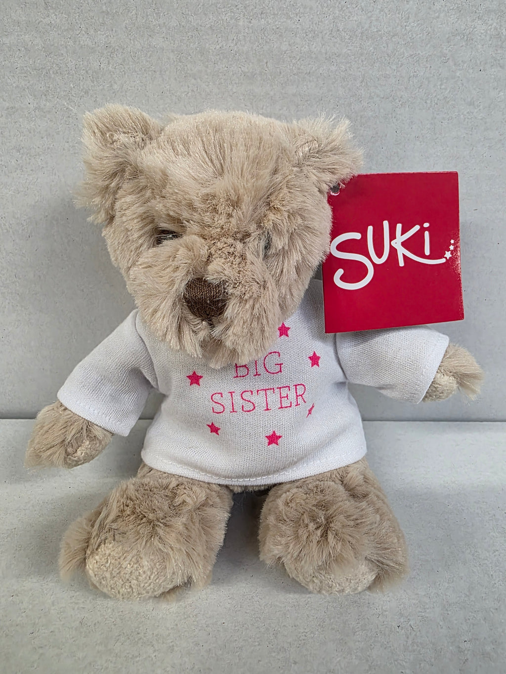 Suki Bartley Bear Big Sister 16cm