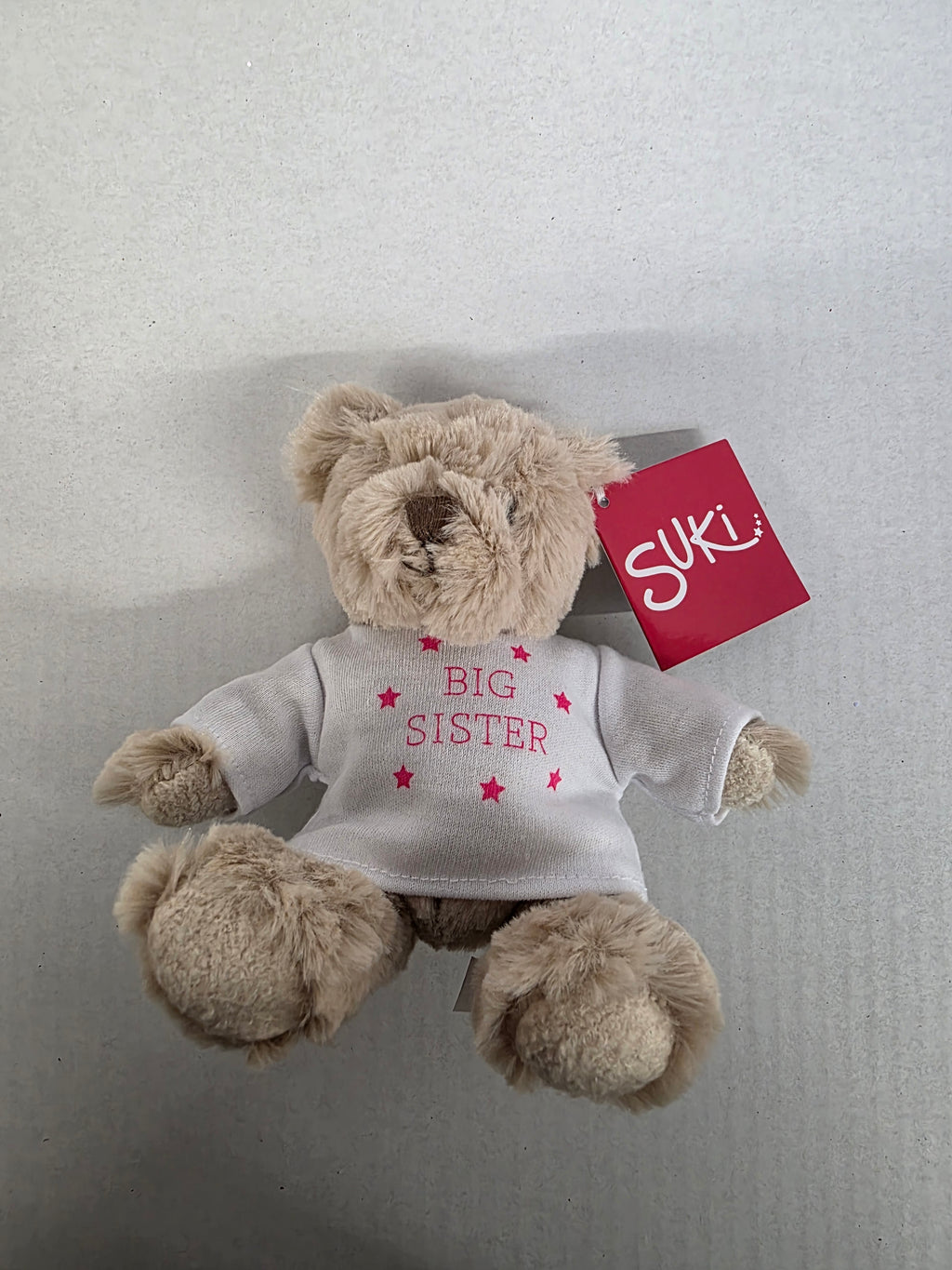 Suki Bartley Bear Big Sister 16cm