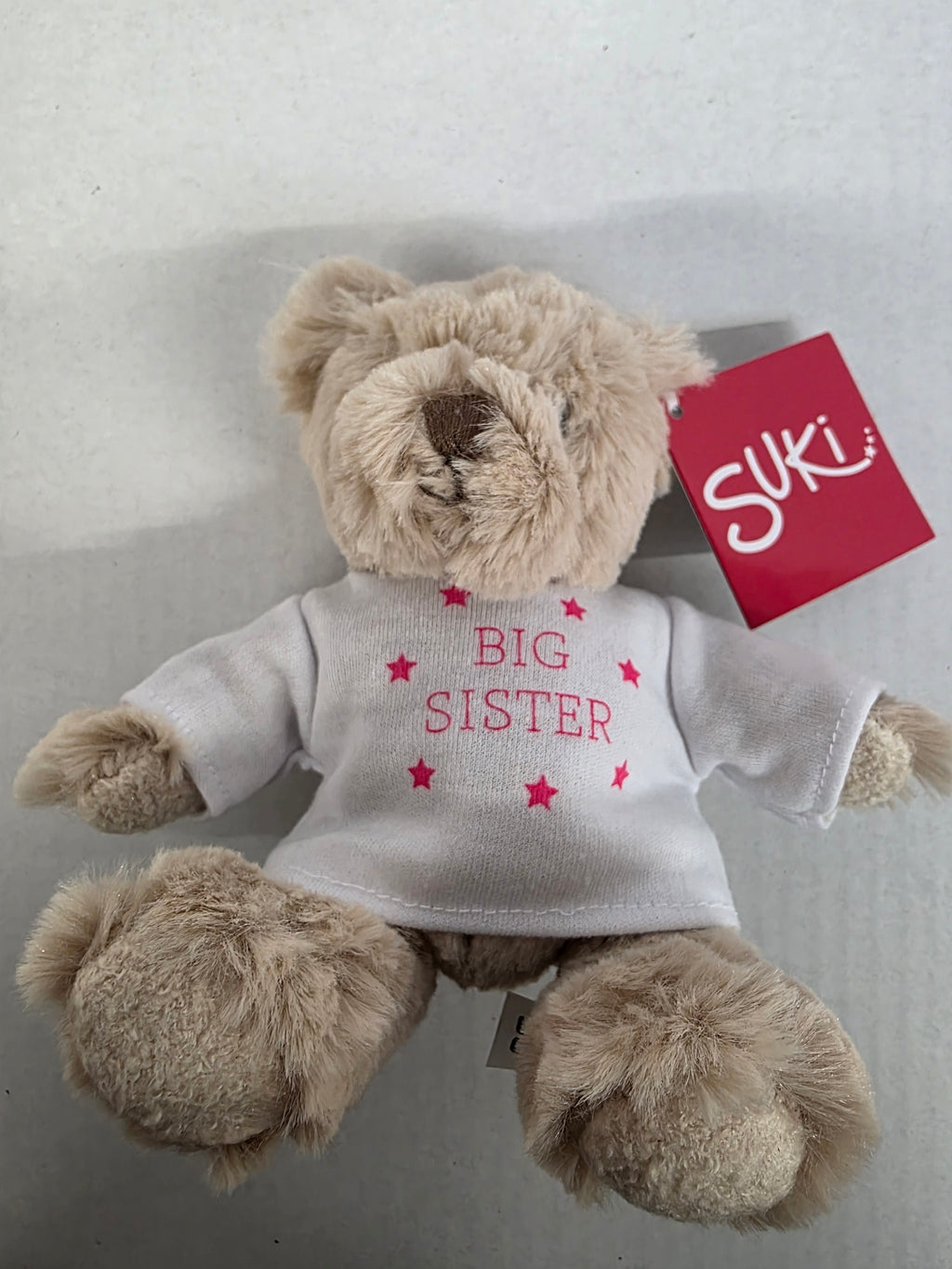 Suki Bartley Bear Big Sister 16cm