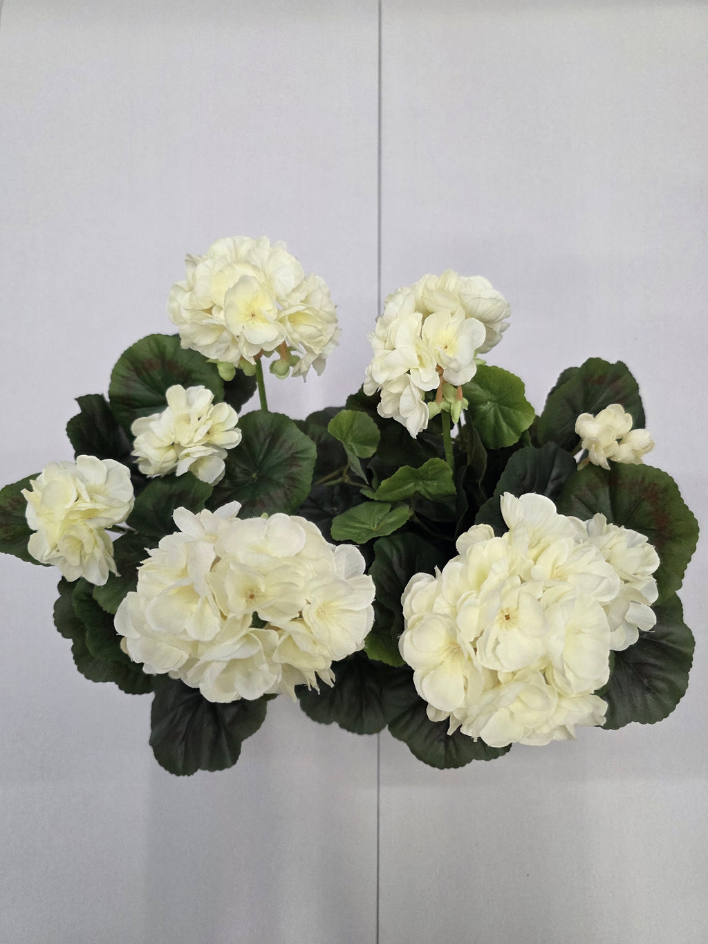 Artificial Geranium White Terra 29x13x40cm