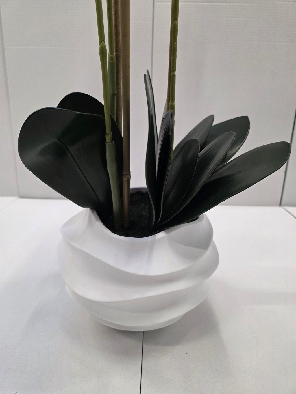 Phalaenopsis In Pot Pink 40x34x82cm