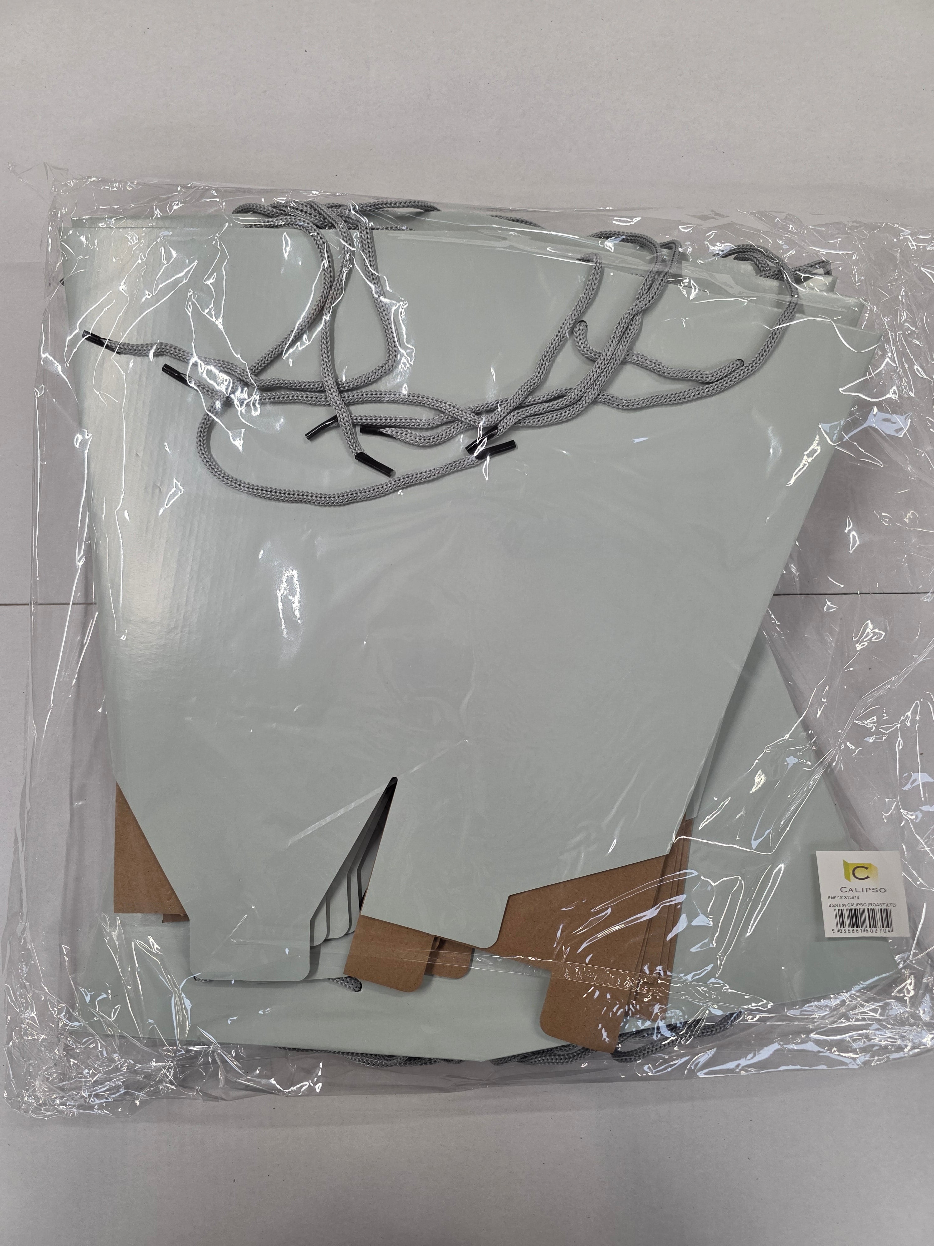 Multipurpose Tote Box Bag Duck Egg 21x14x27.5cm X10