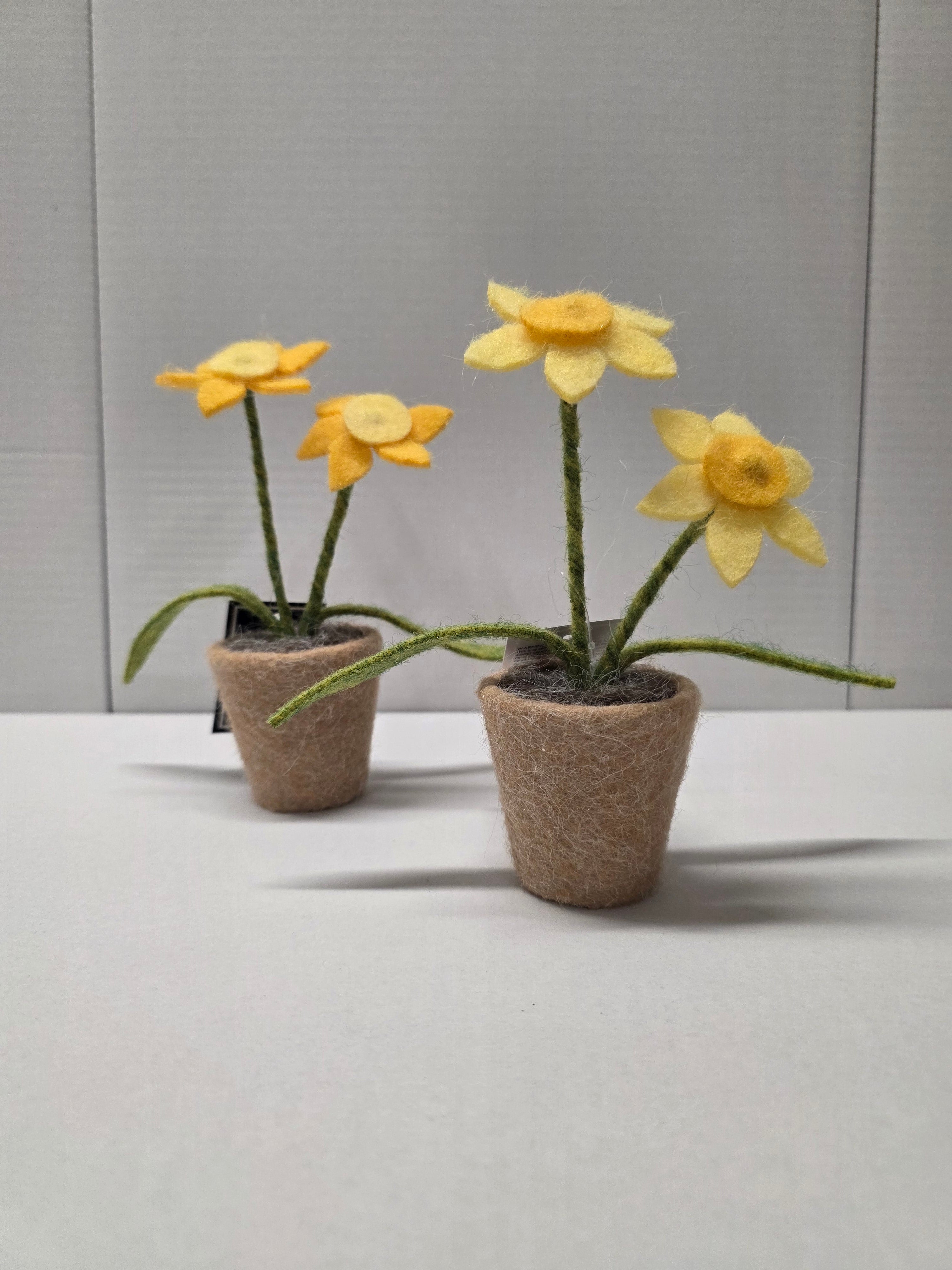 Daffodils Wool 16.5cm (pack of 3)