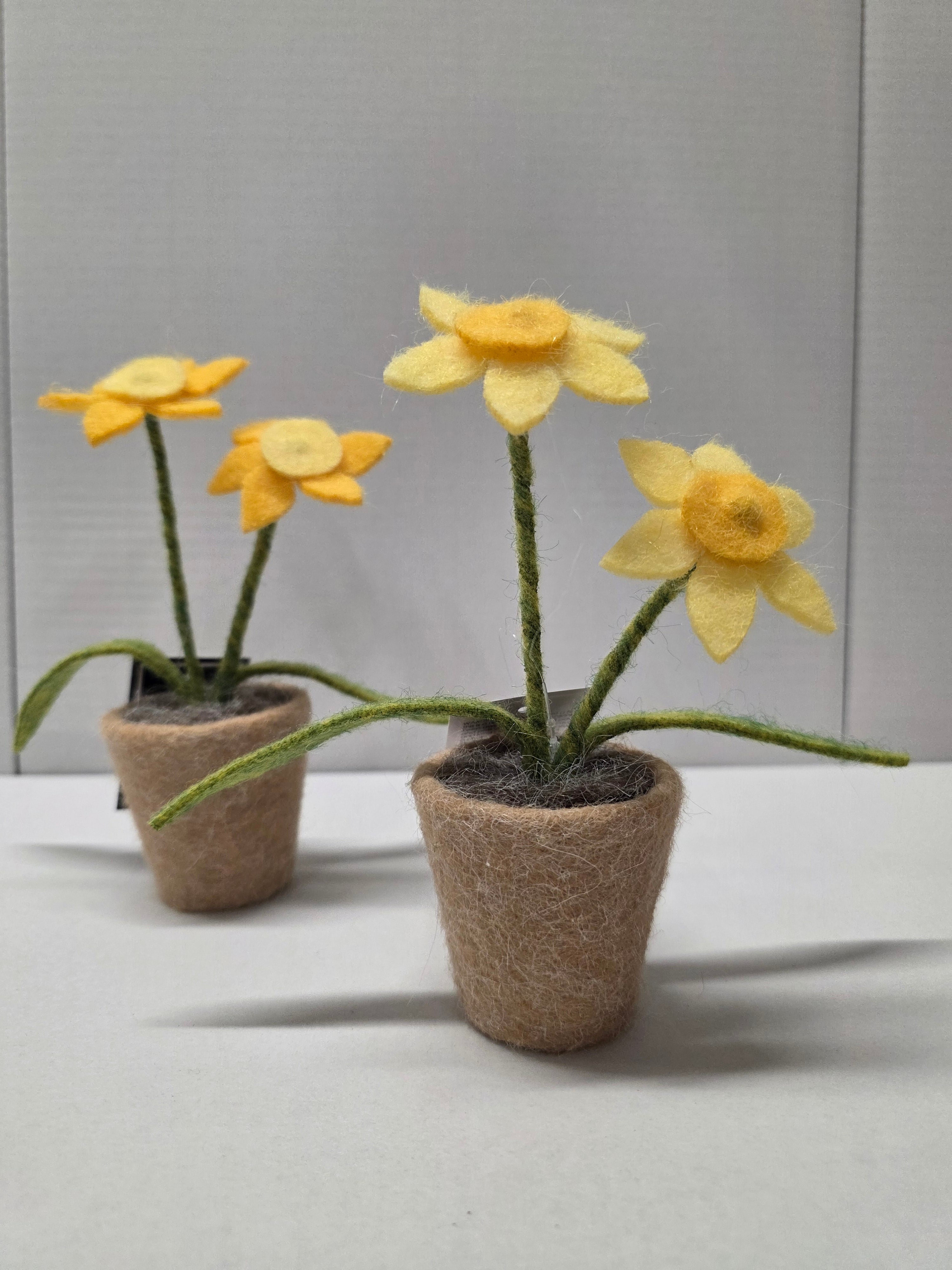 Daffodils Wool 16.5cm (pack of 3)
