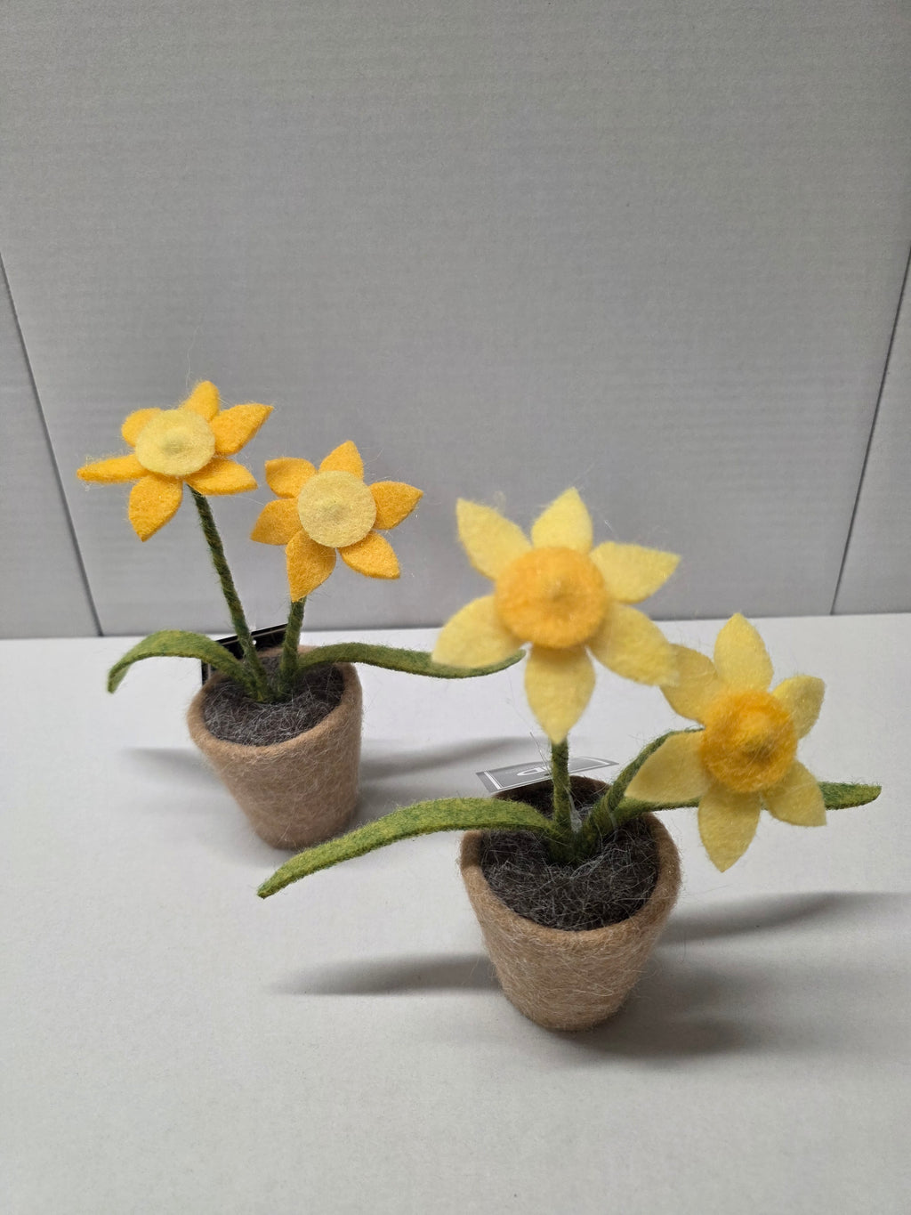 Daffodils Wool 16.5cm (pack of 3)