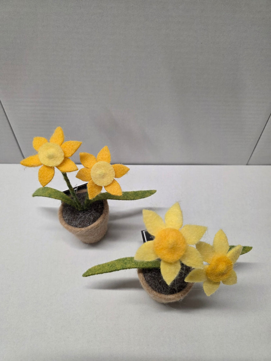 Daffodils Wool 16.5cm (pack of 3)