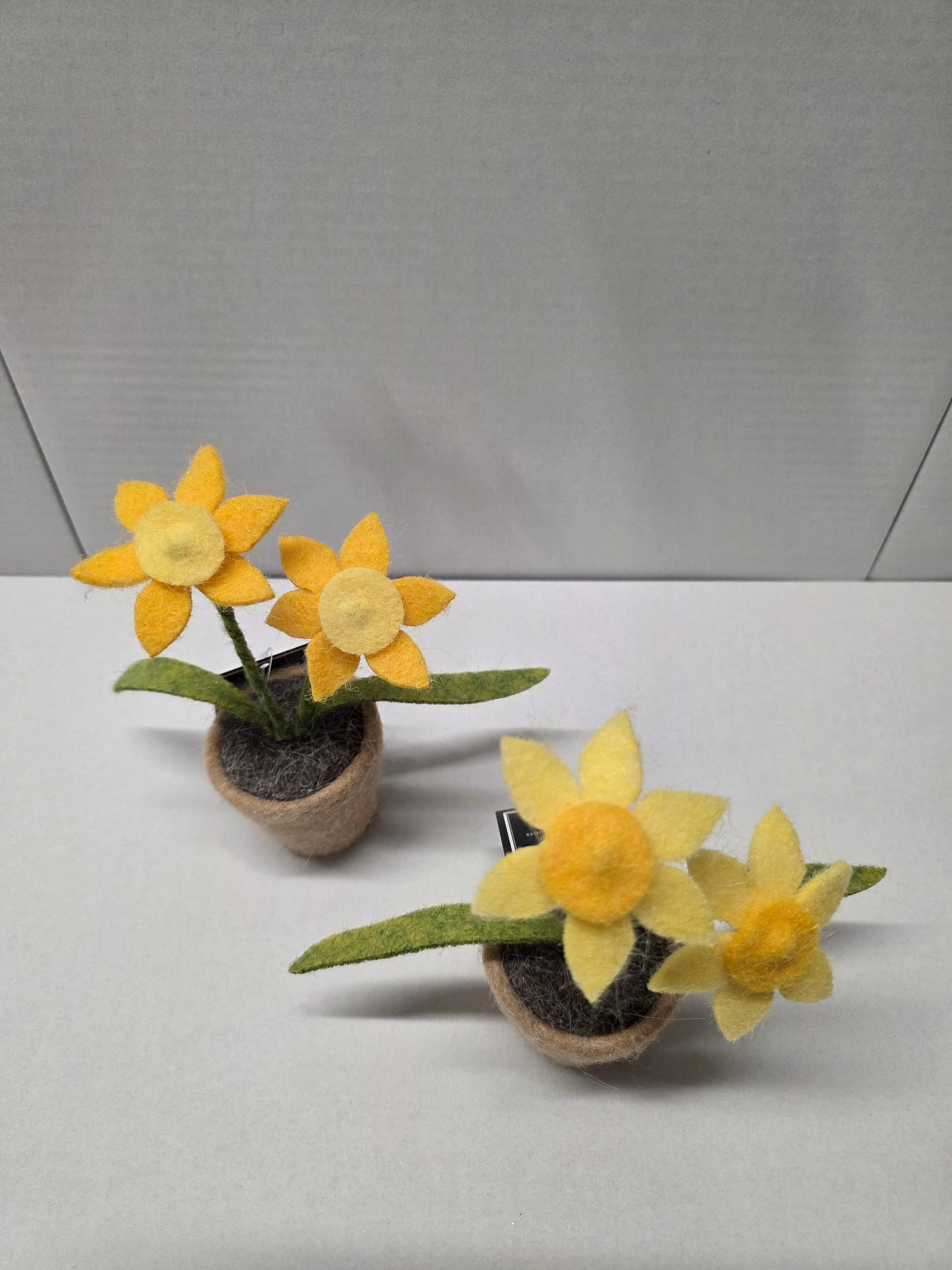 Daffodils Wool 16.5cm (pack of 3)