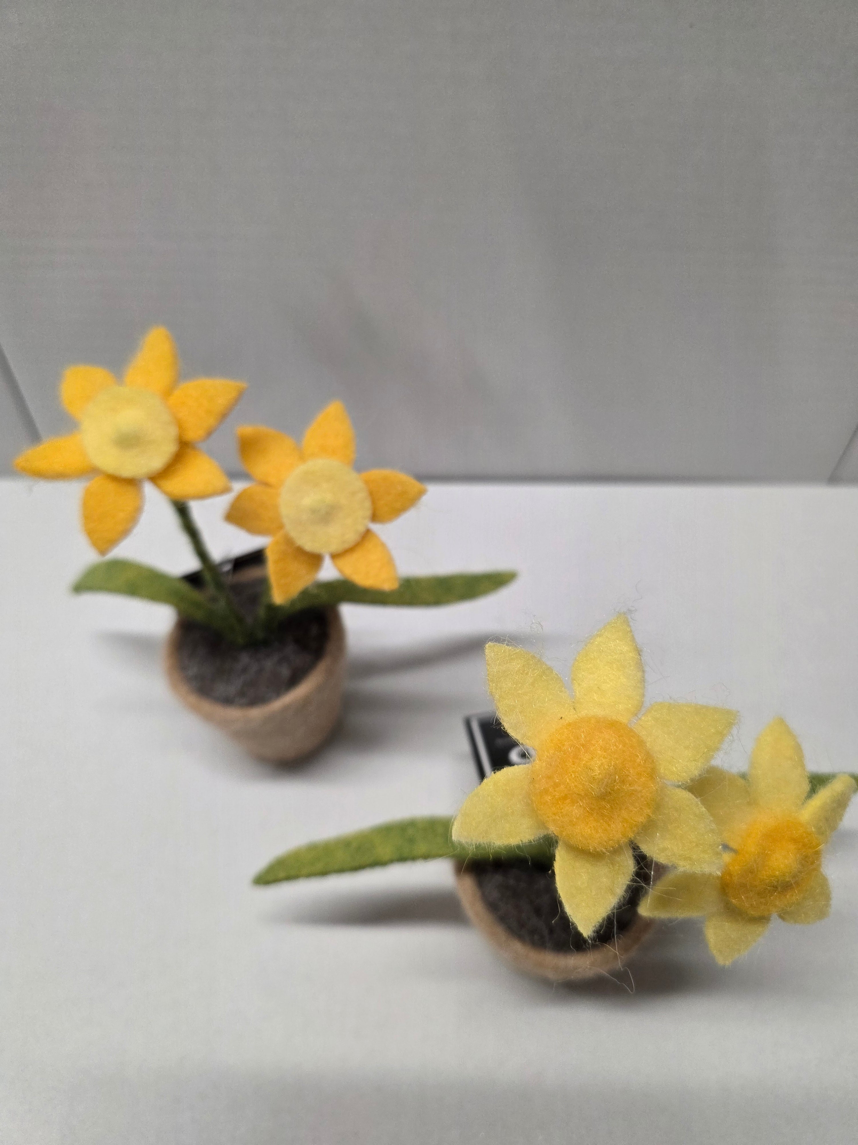 Daffodils Wool 16.5cm (pack of 3)