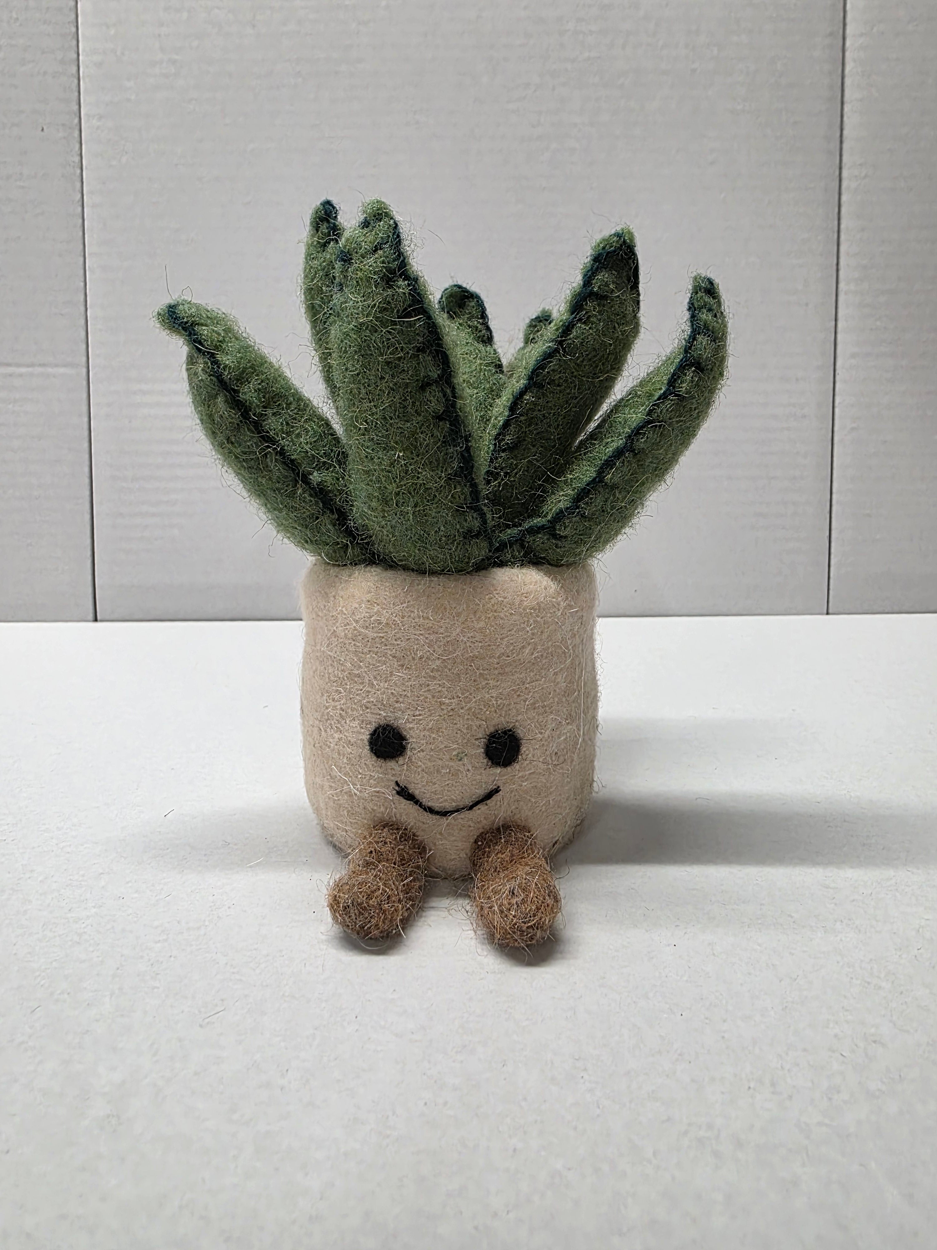 Felt Aloe Pot 16cm
