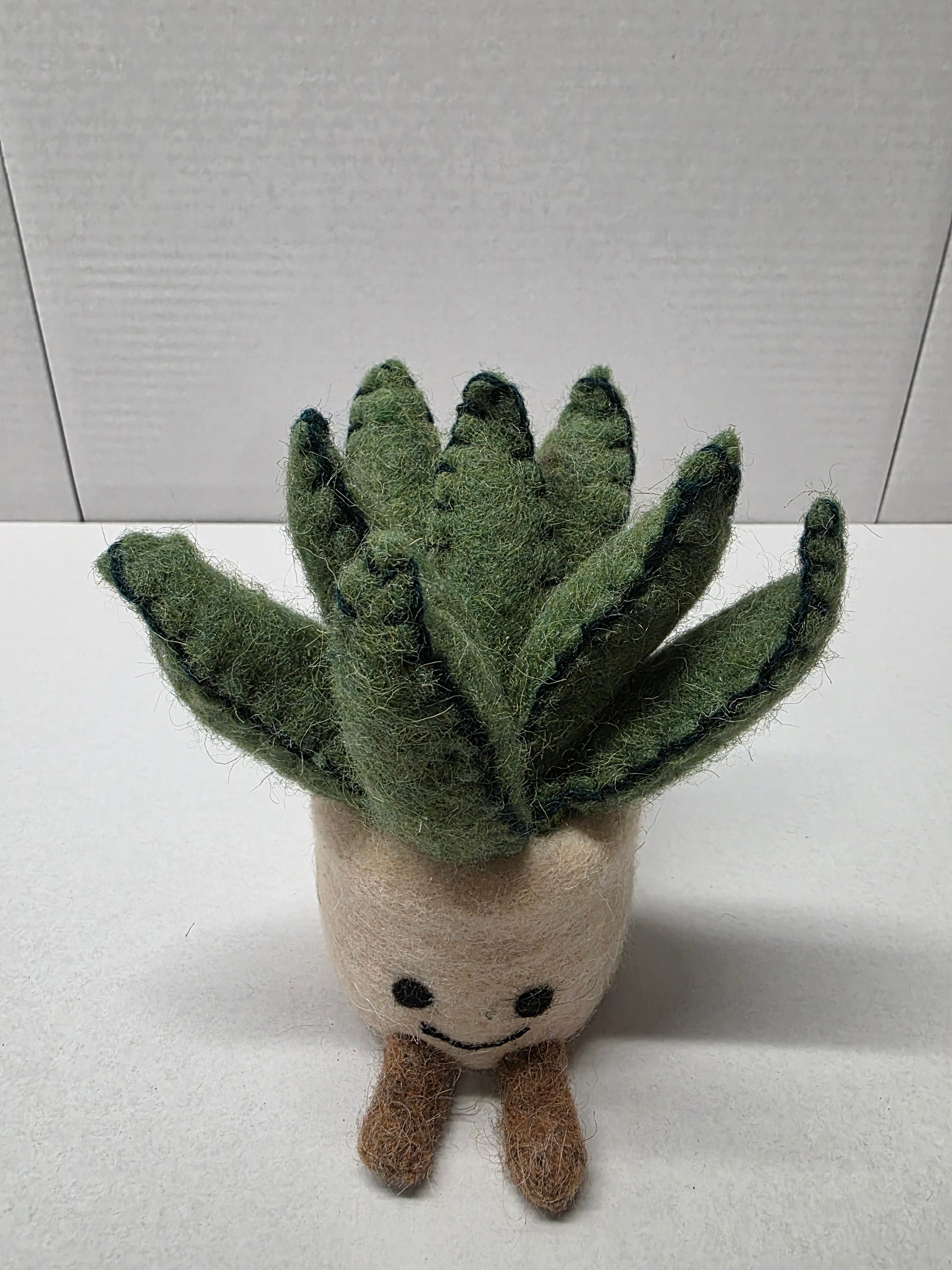 Felt Aloe Pot 16cm