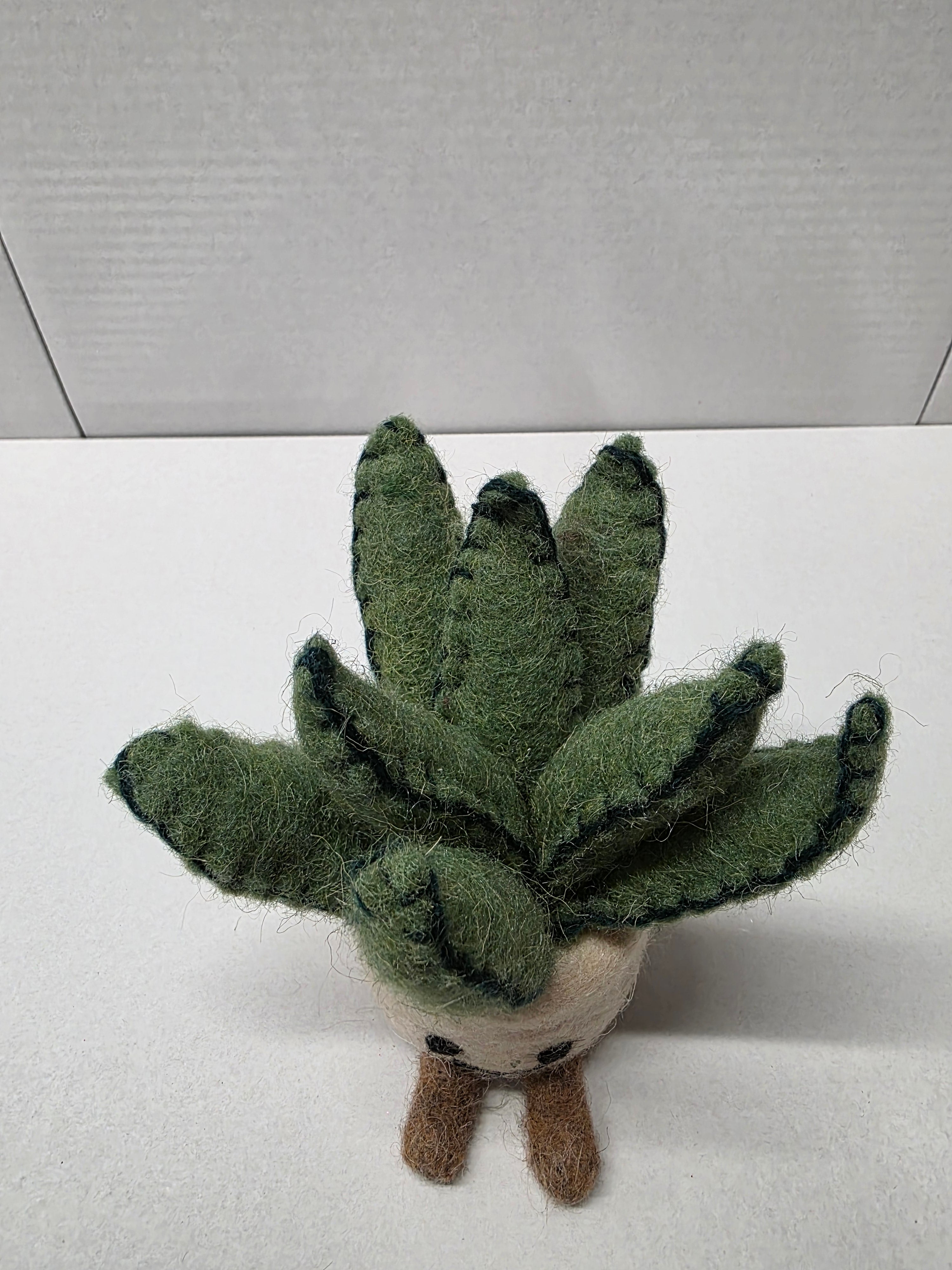 Felt Aloe Pot 16cm