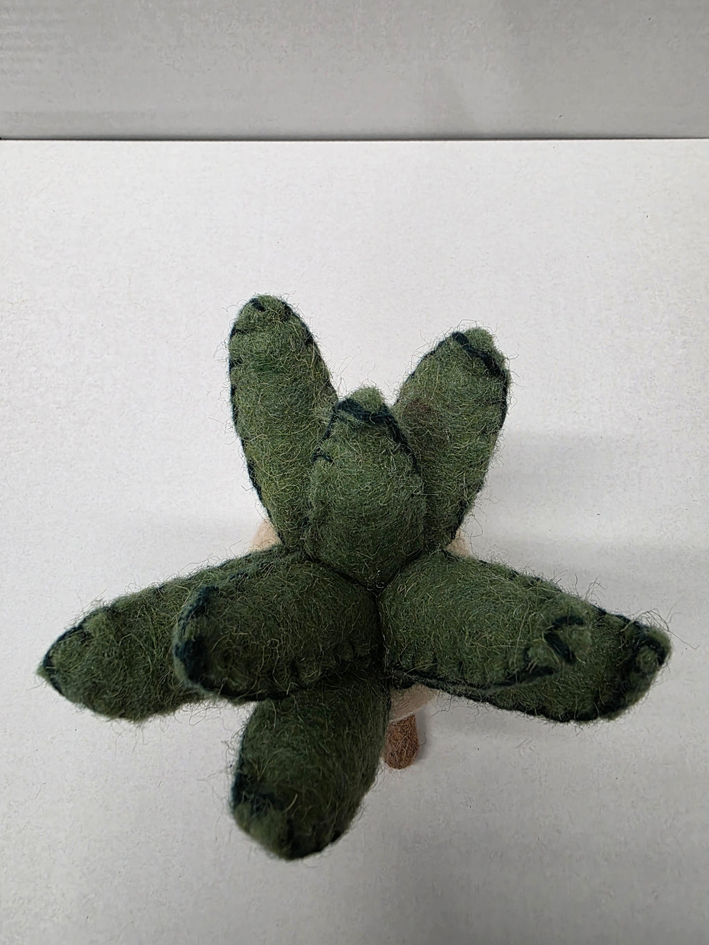 Felt Aloe Pot 16cm