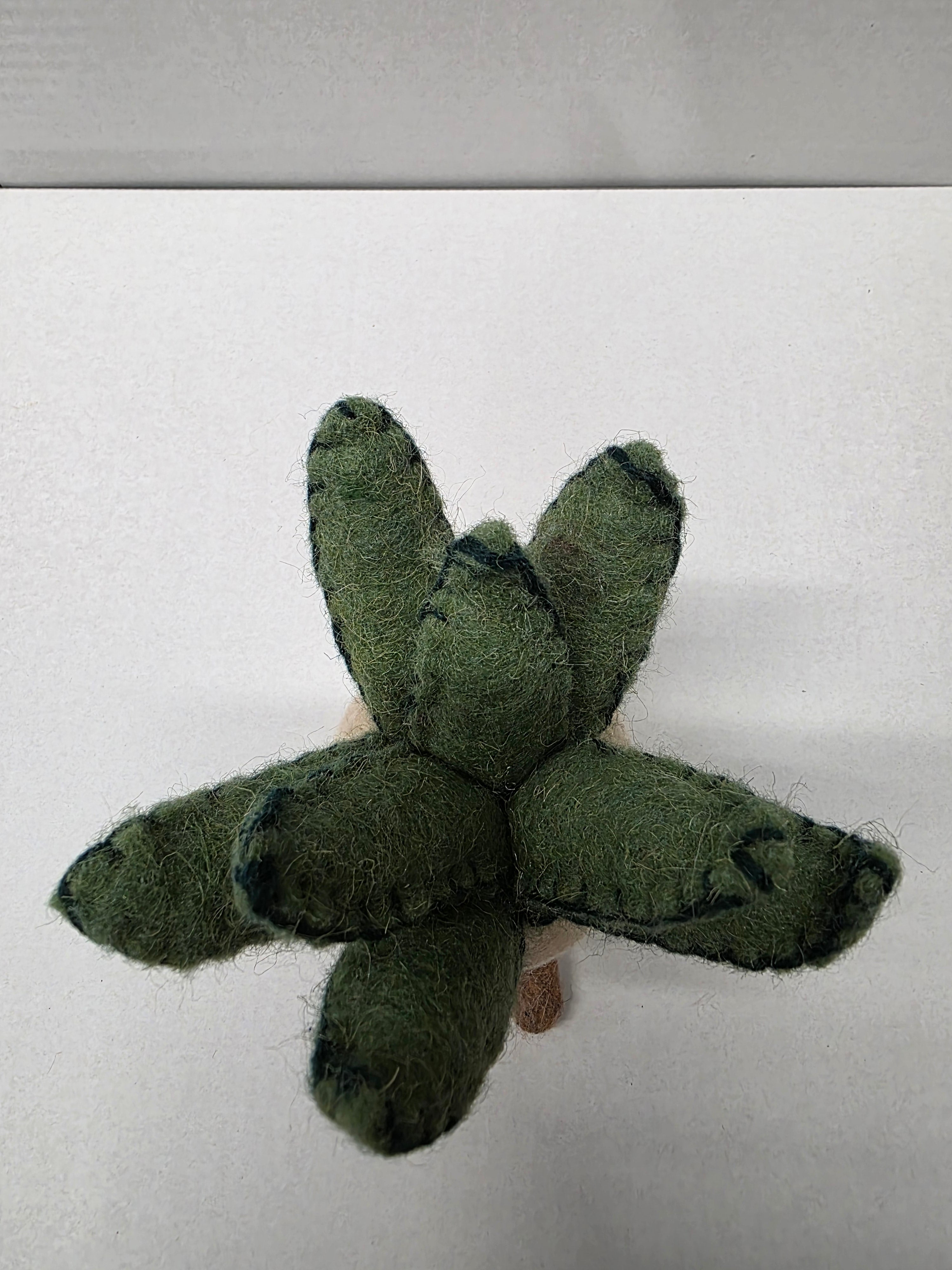 Felt Aloe Pot 16cm