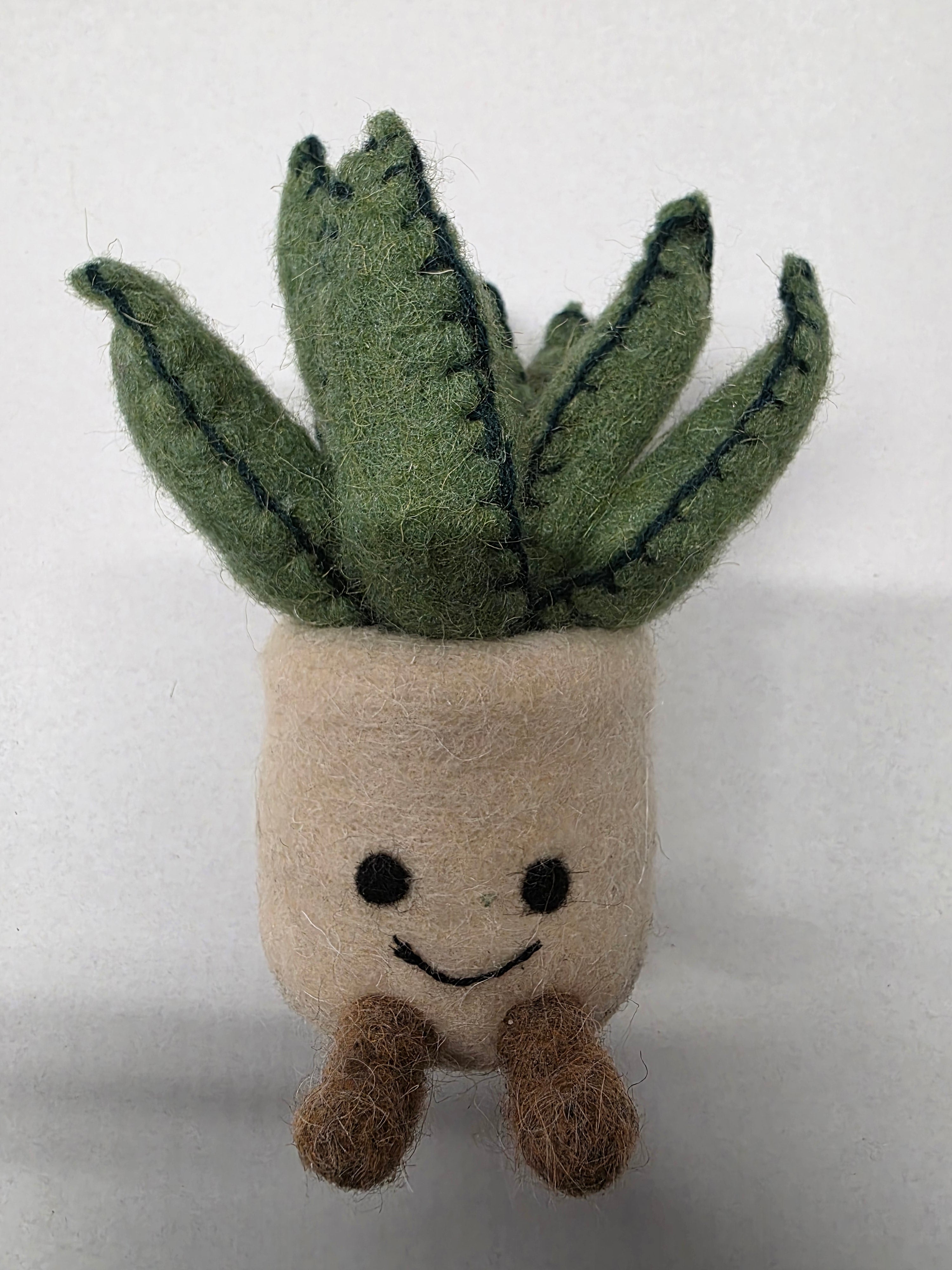 Felt Aloe Pot 16cm