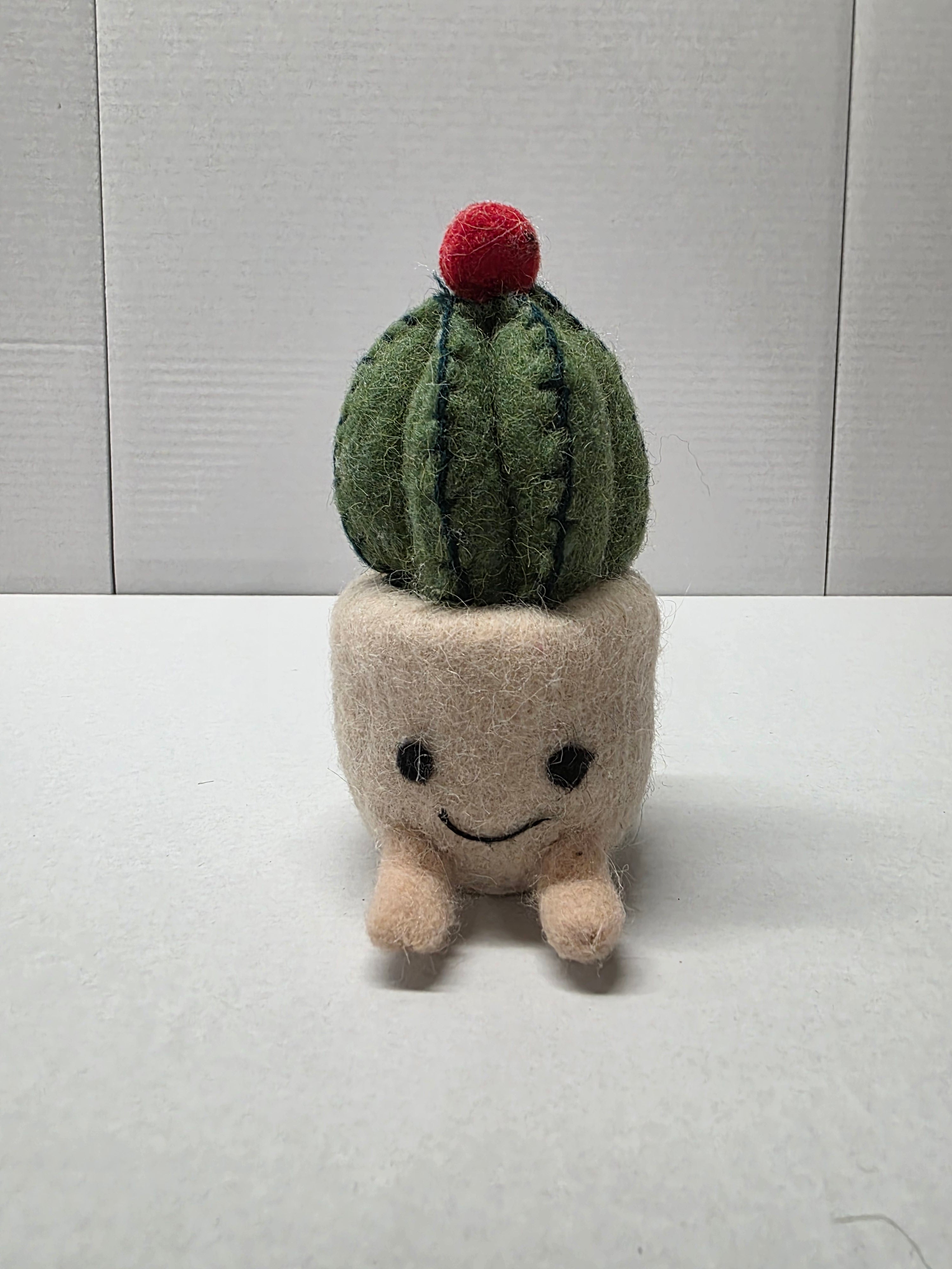 Felt Cactus Pot 16cm