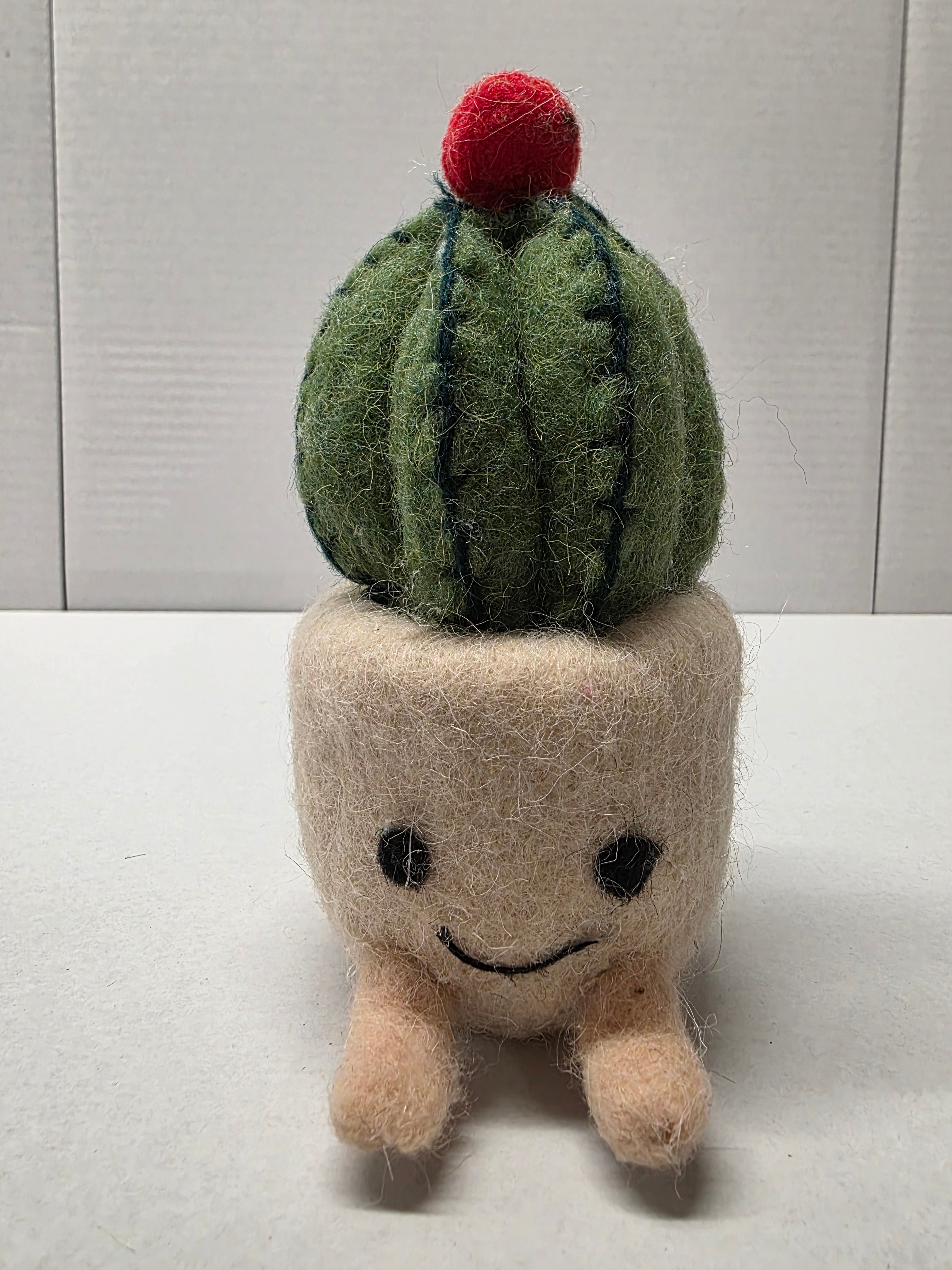 Felt Cactus Pot 16cm