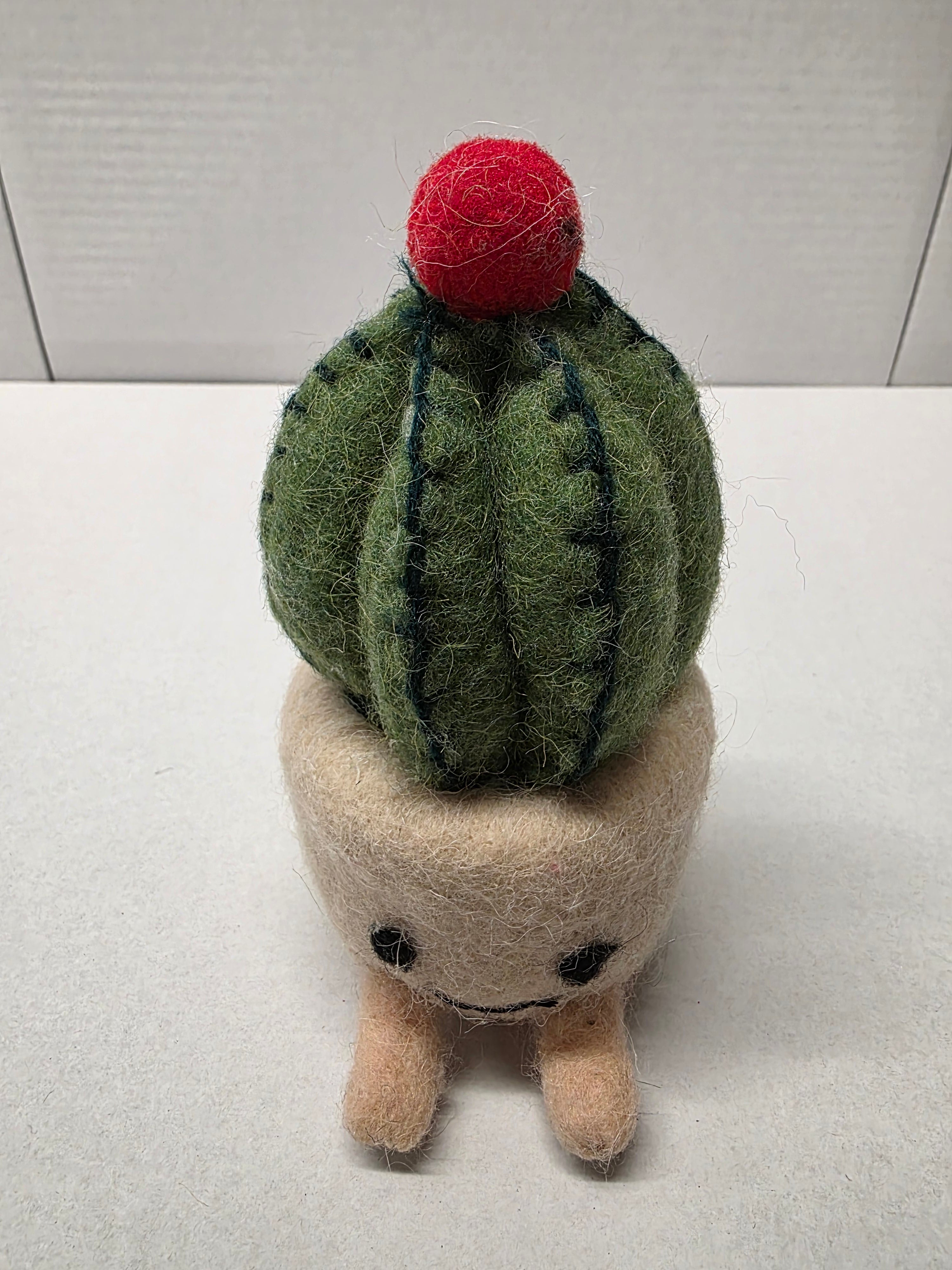 Felt Cactus Pot 16cm