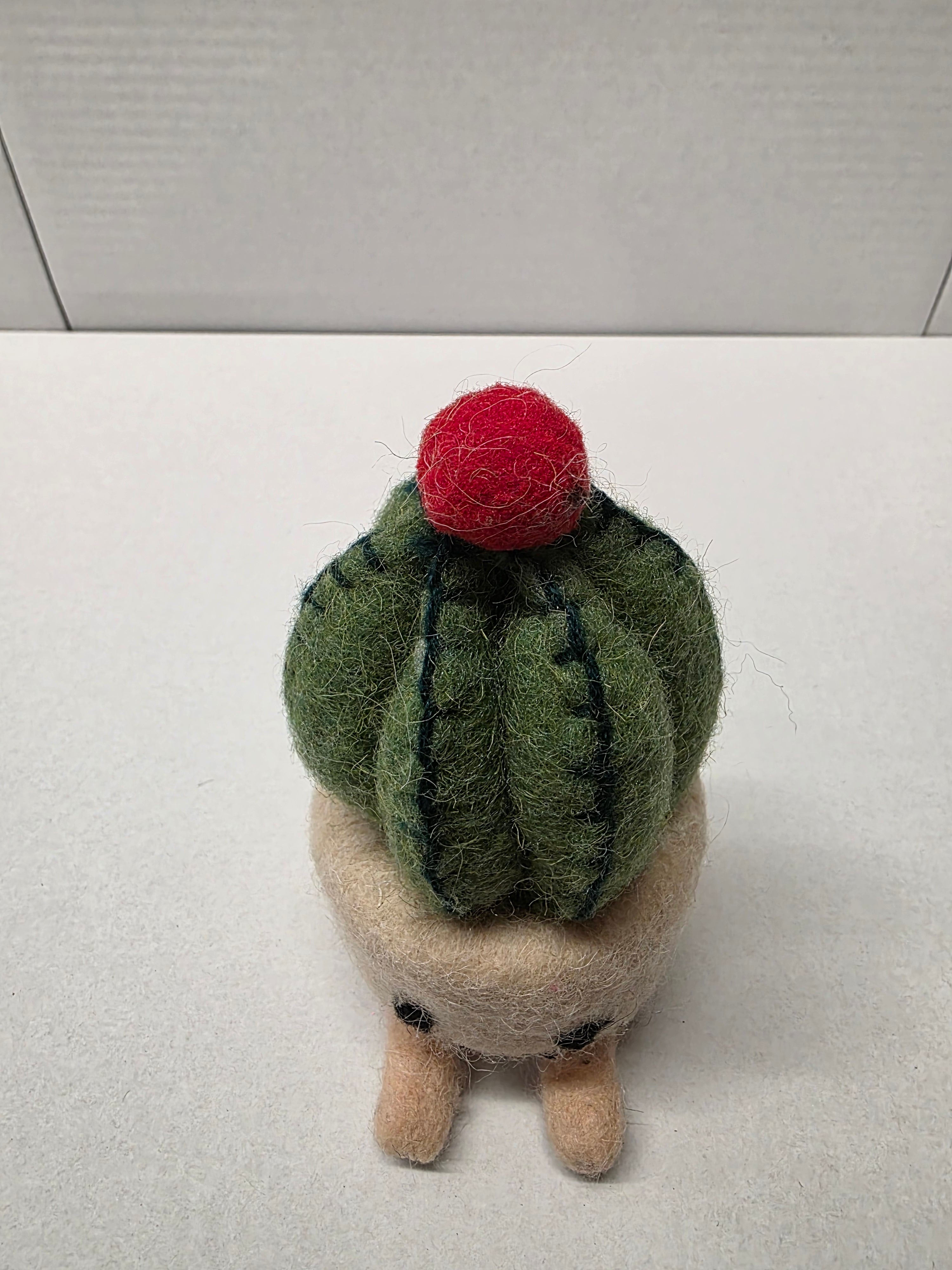 Felt Cactus Pot 16cm