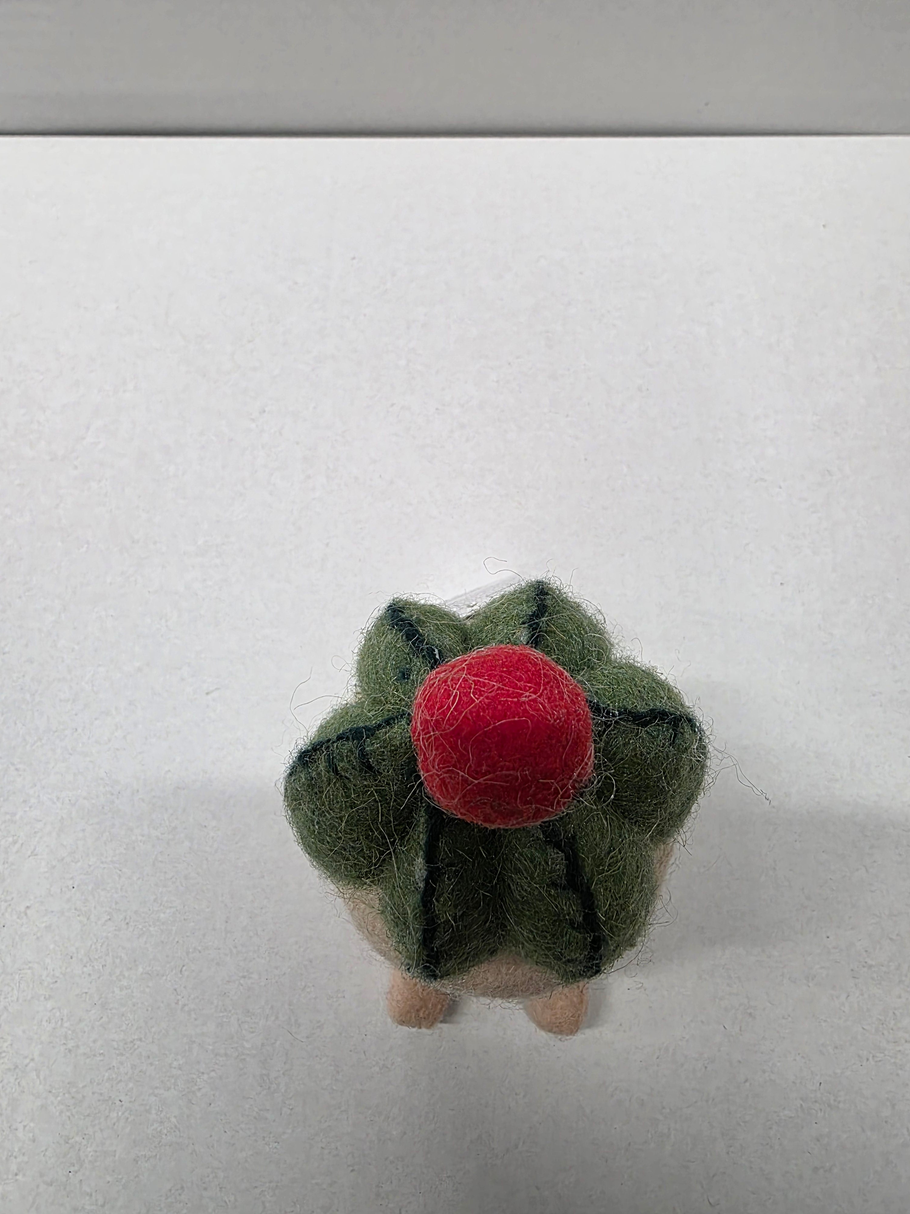 Felt Cactus Pot 16cm