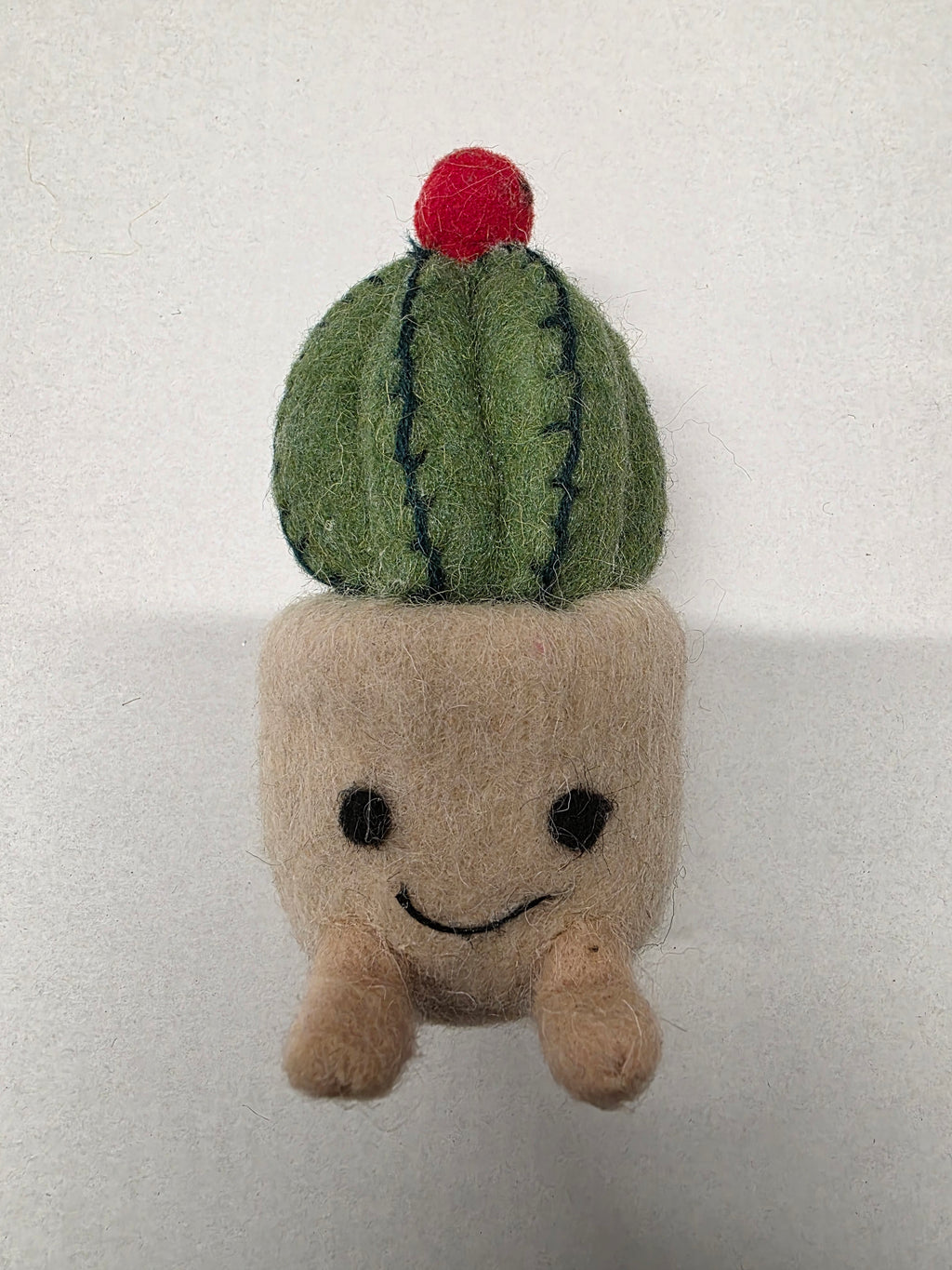 Felt Cactus Pot 16cm