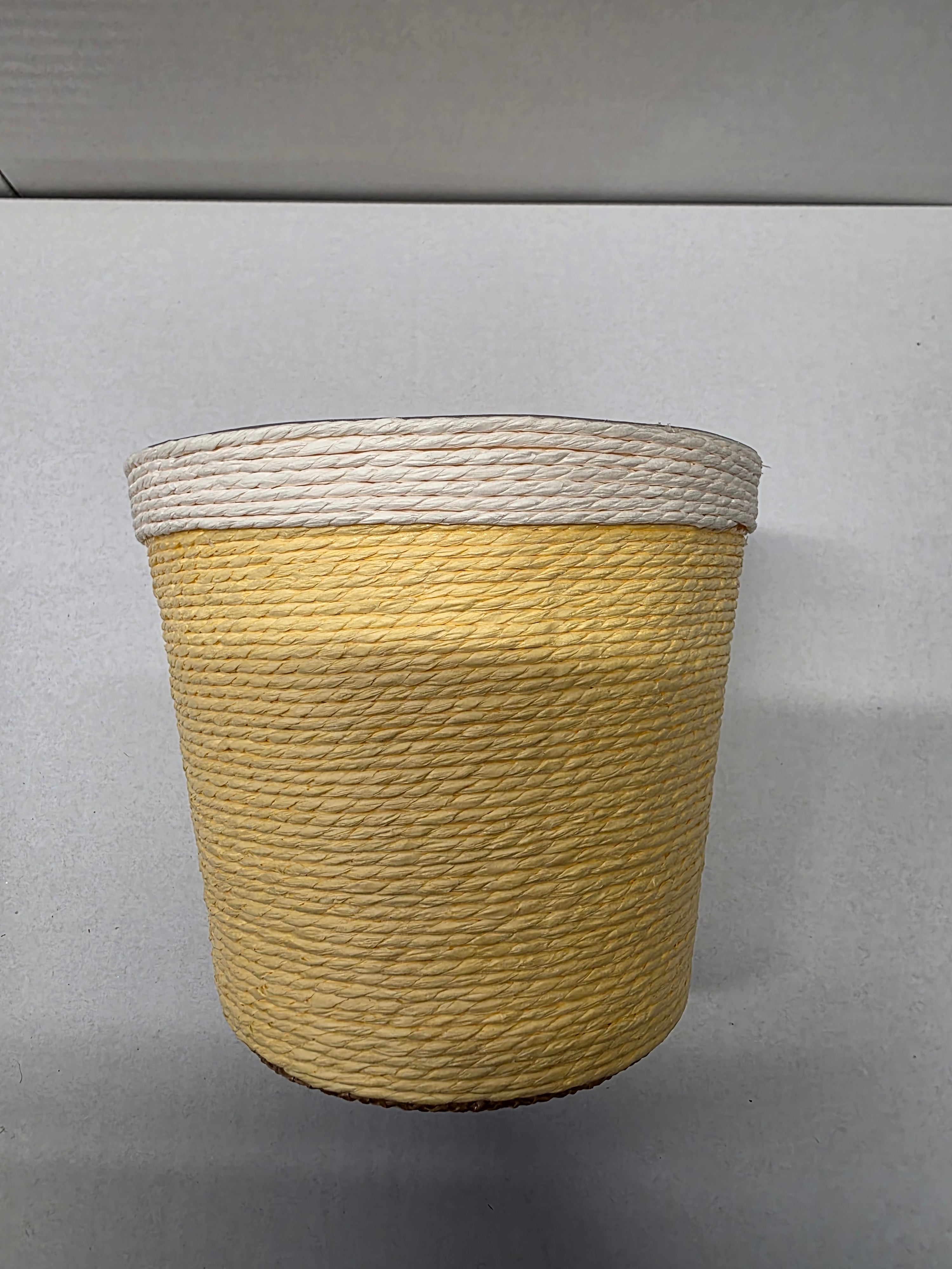 Paper Flowerpot Yellow 15.5cm (pack of 2)