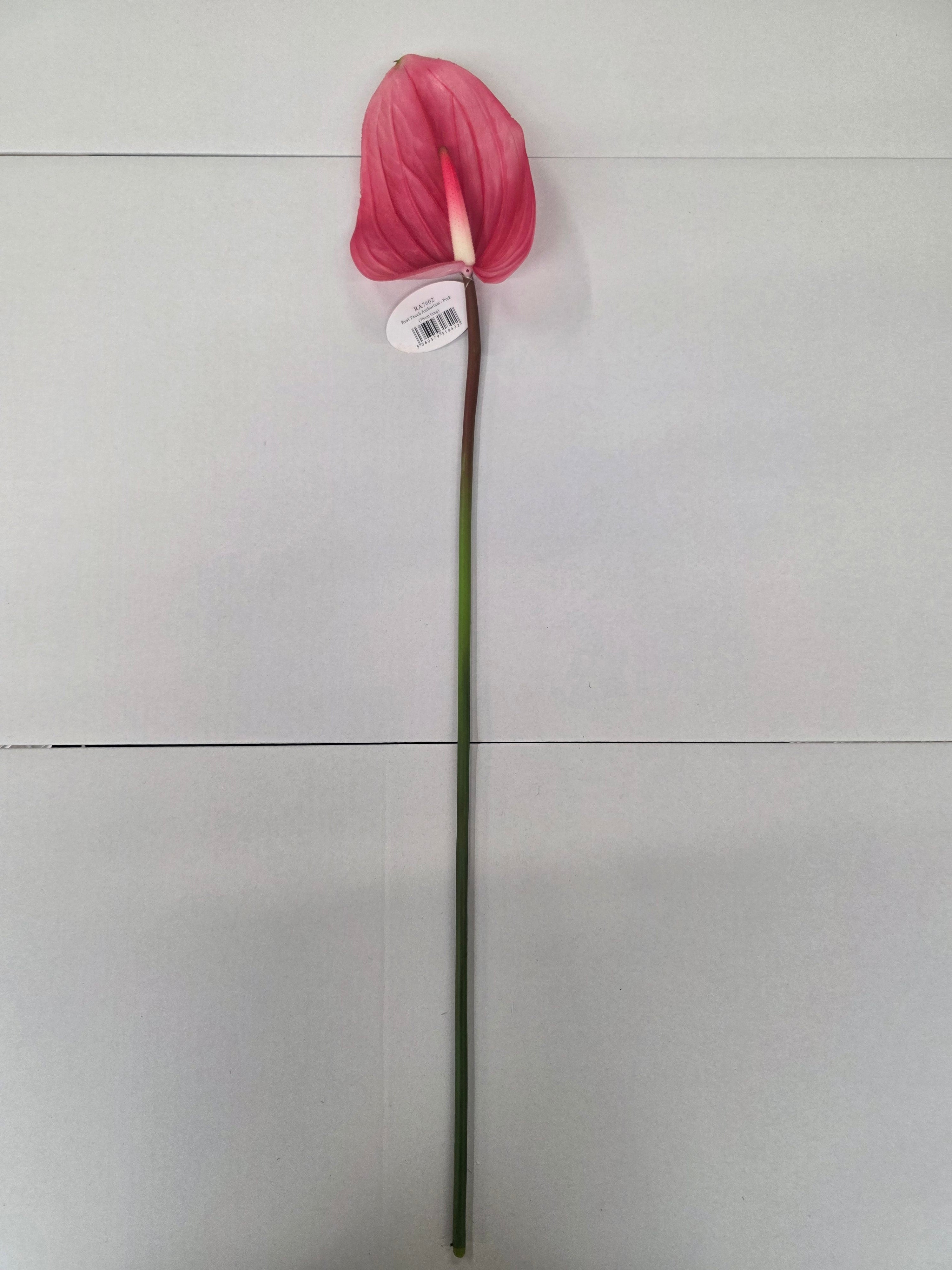 Artificial Anthurium Dark Pink Real Touch 76cm (PACK OF 2)