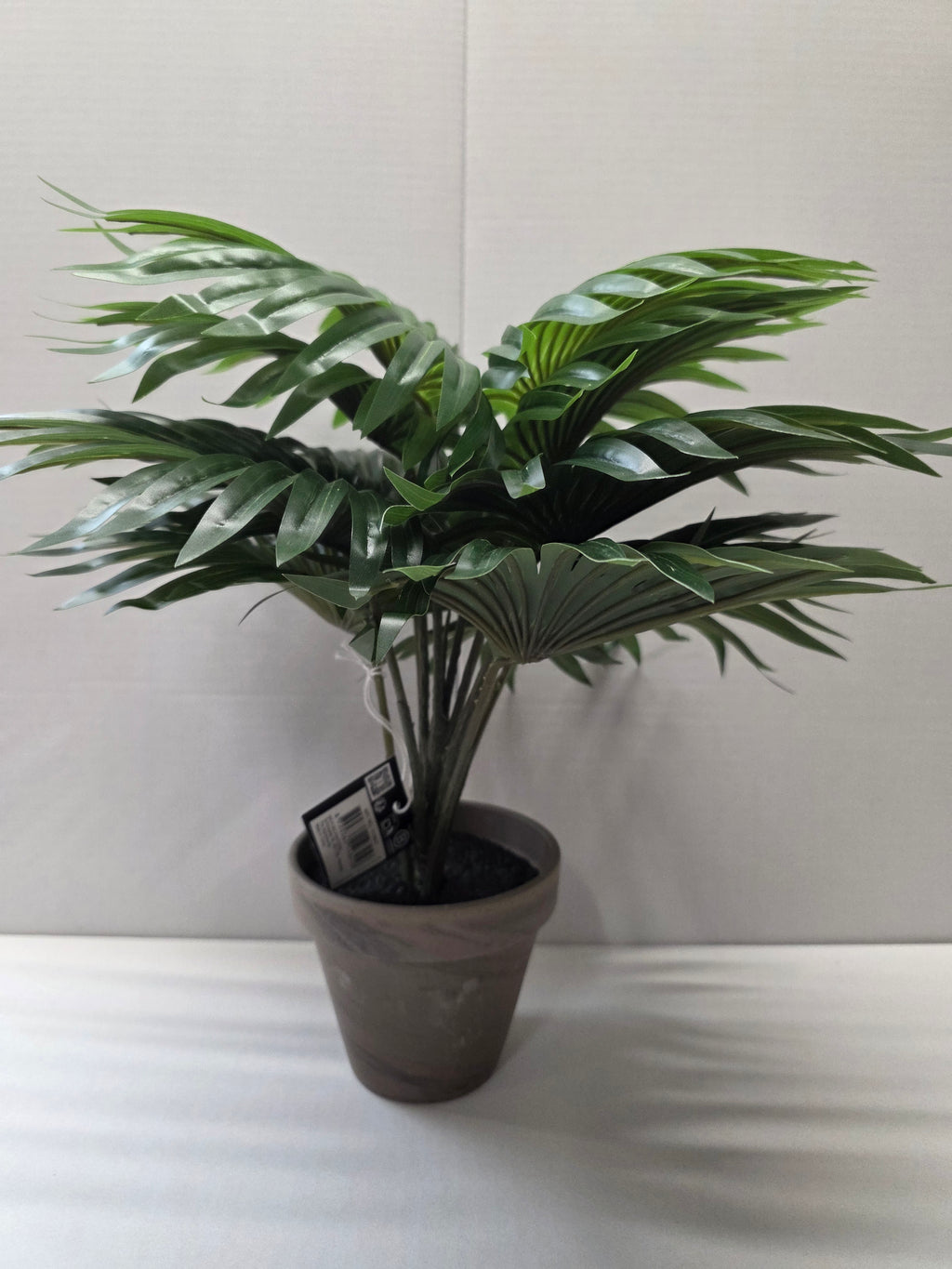 Palm Green In Pot Stan Grey