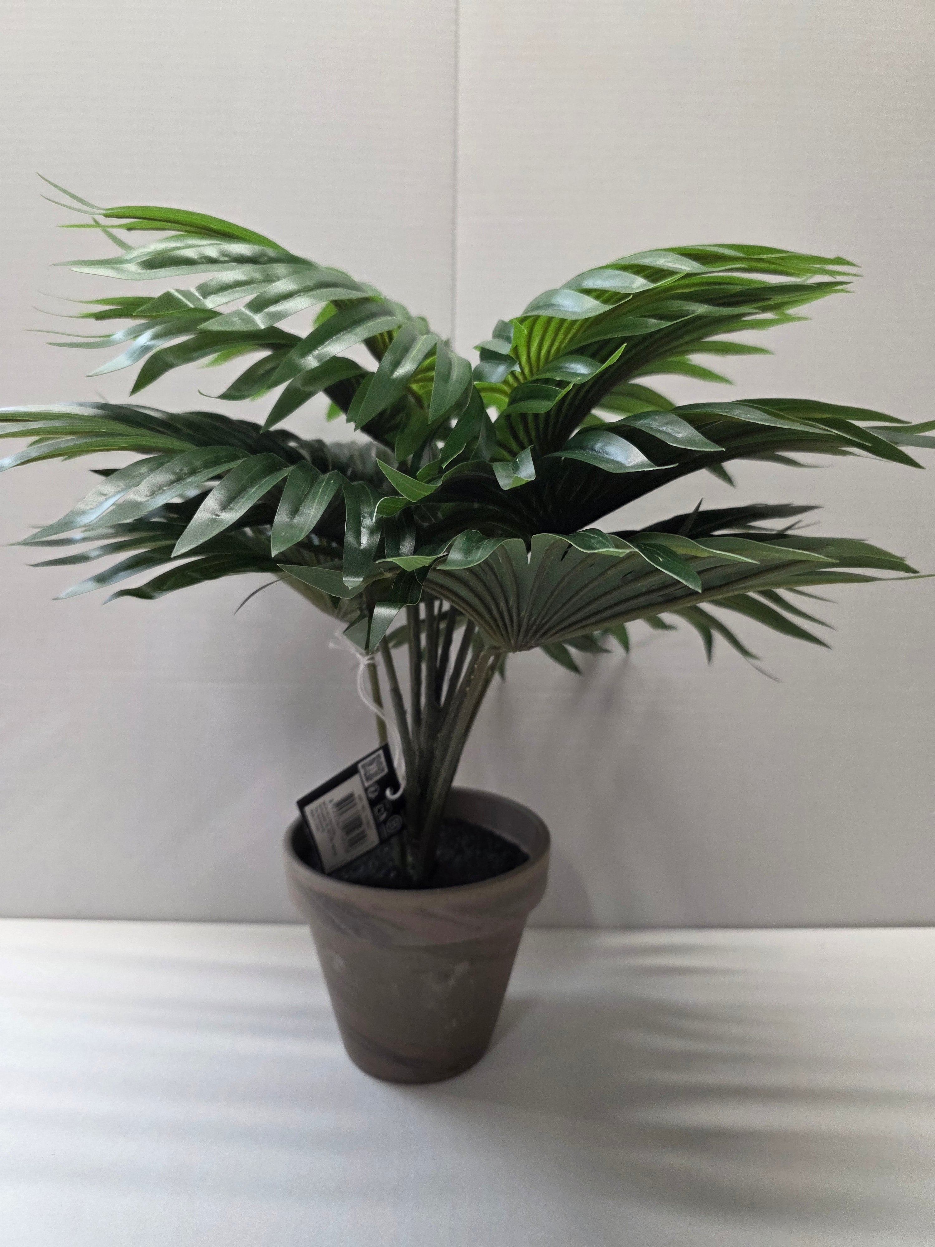 Palm Green In Pot Stan Grey