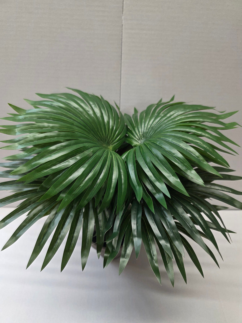 Palm Green In Pot Stan Grey