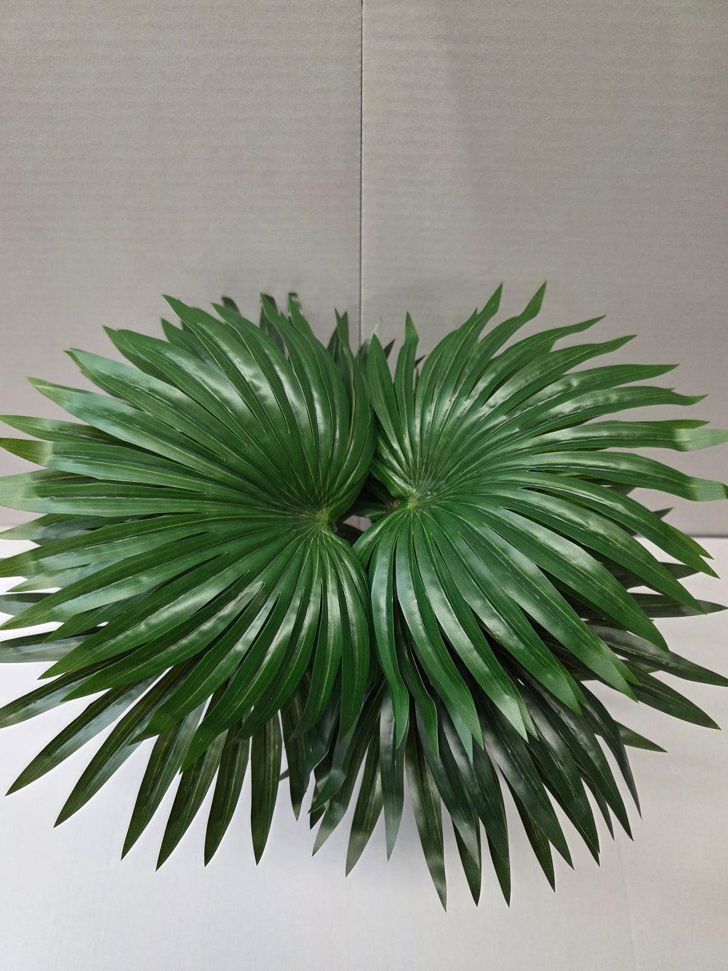 Palm Green In Pot Stan Grey