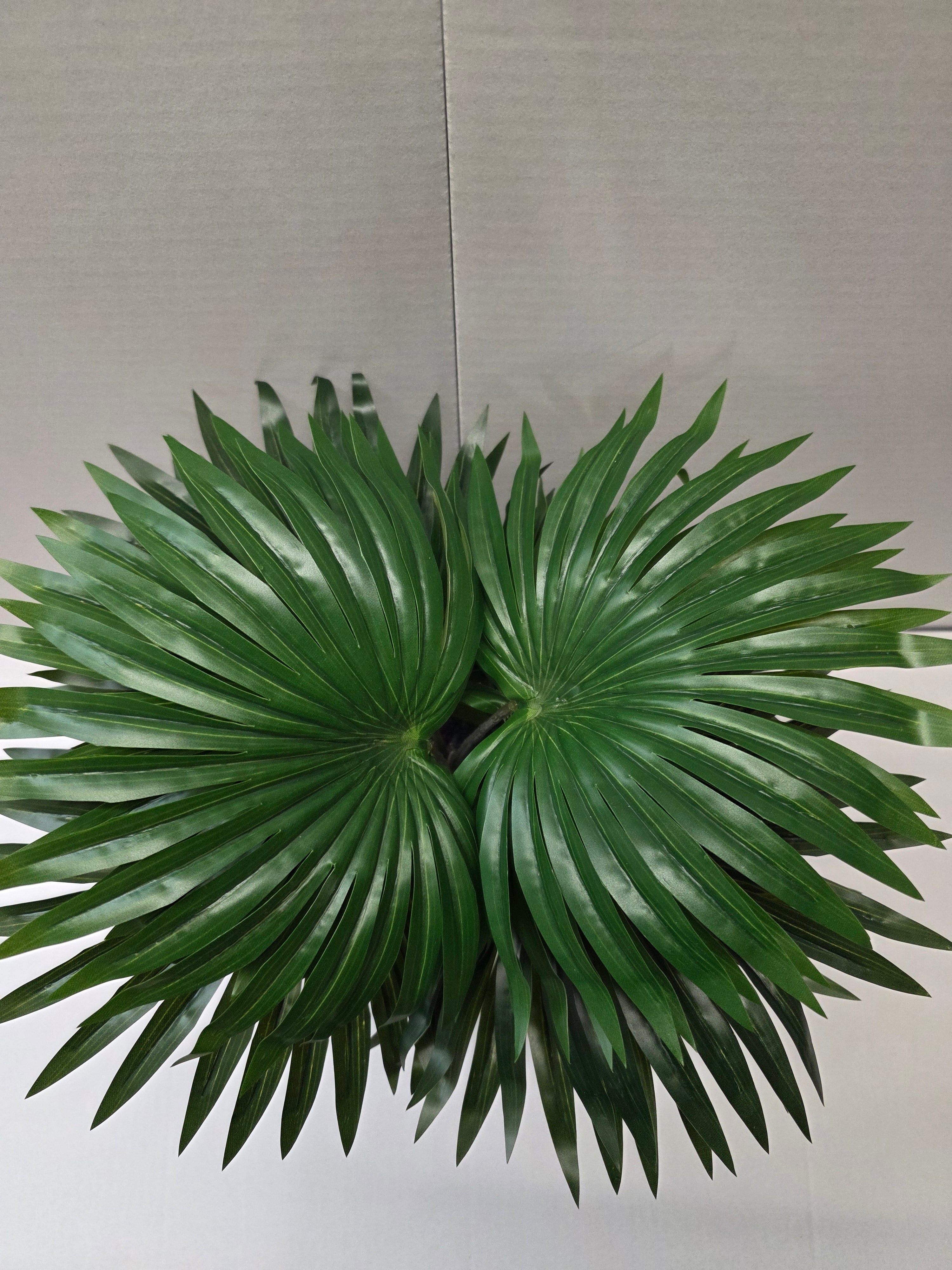 Palm Green In Pot Stan Grey