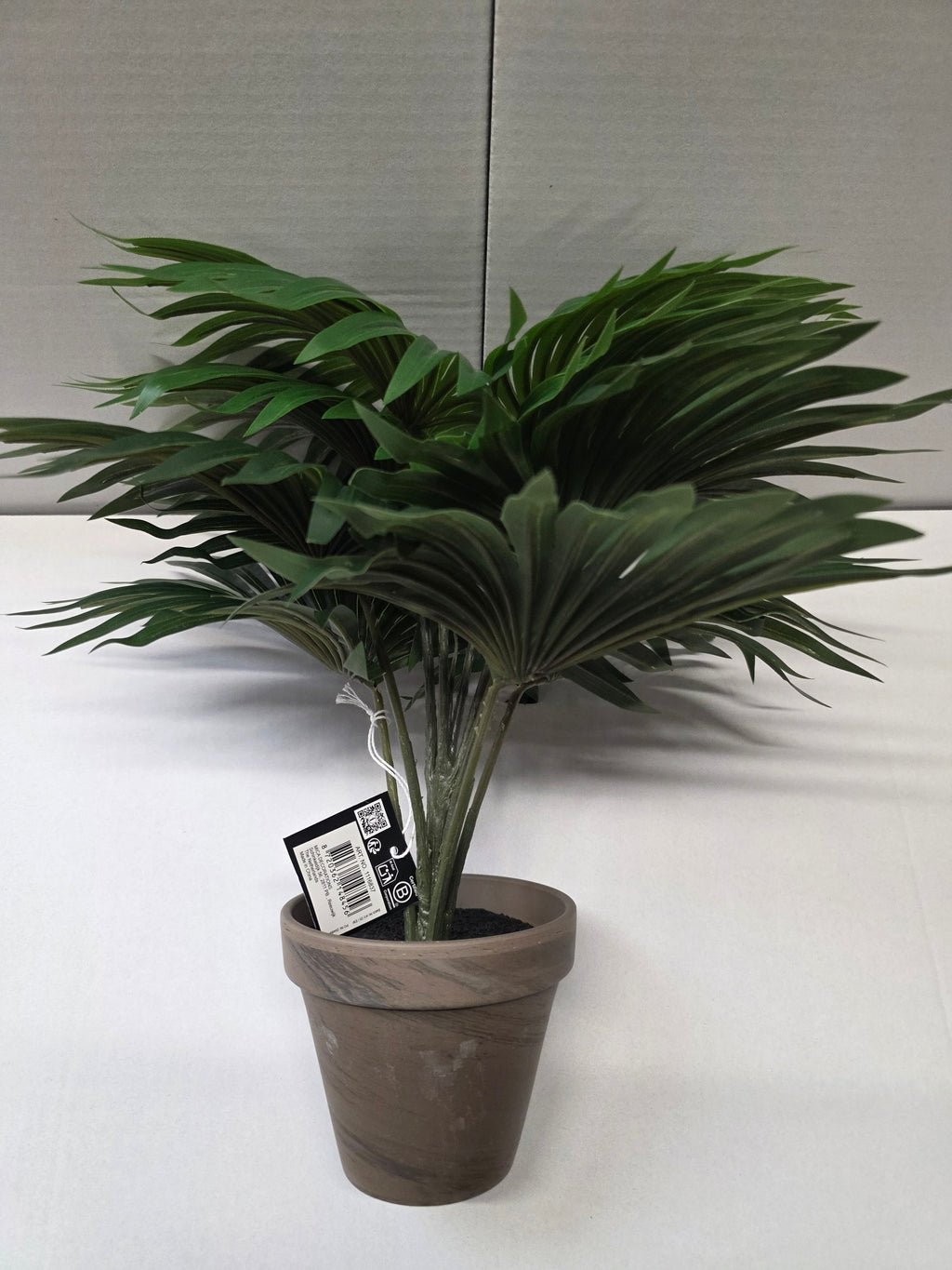 Palm Green In Pot Stan Grey