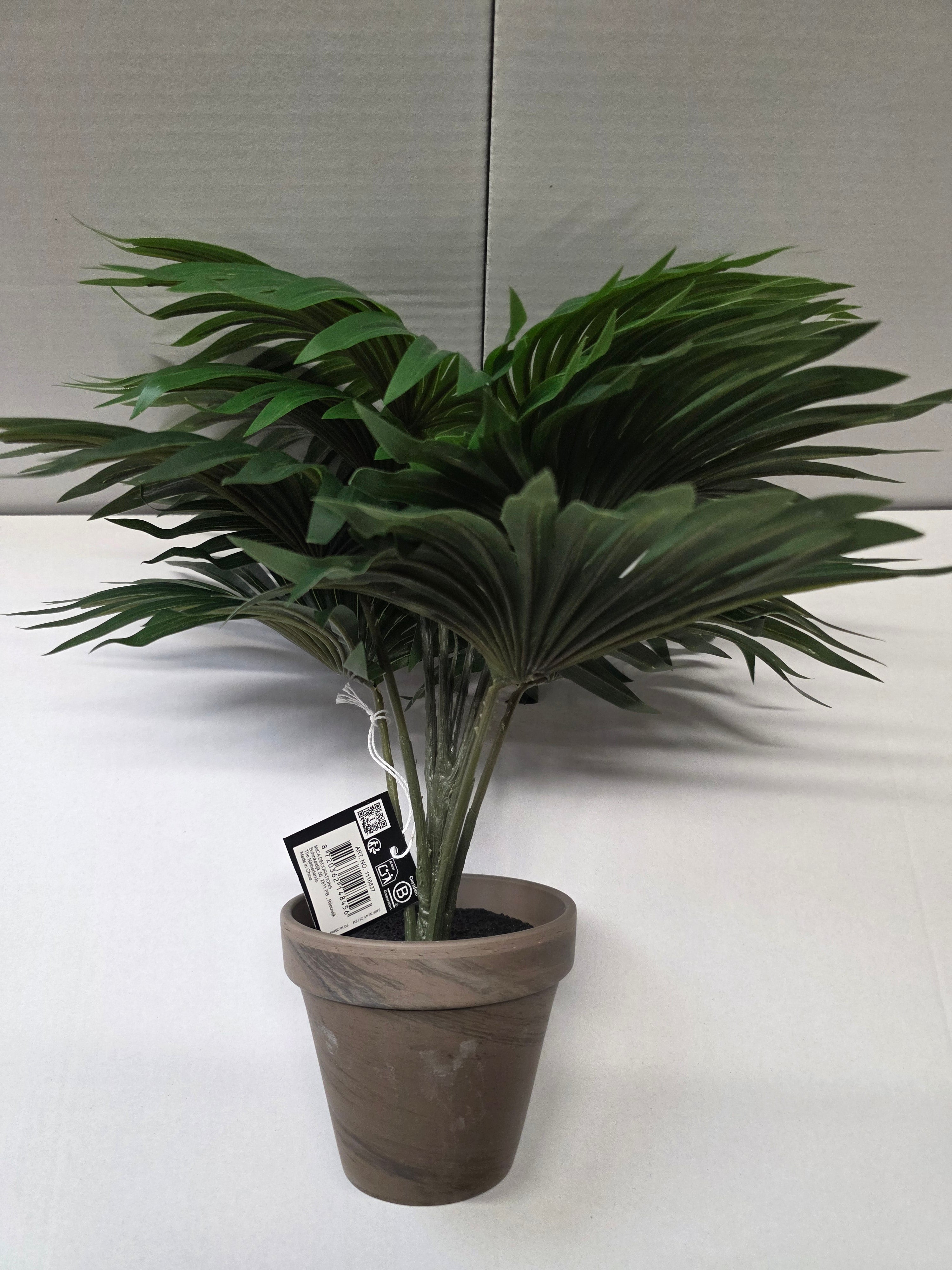 Palm Green In Pot Stan Grey