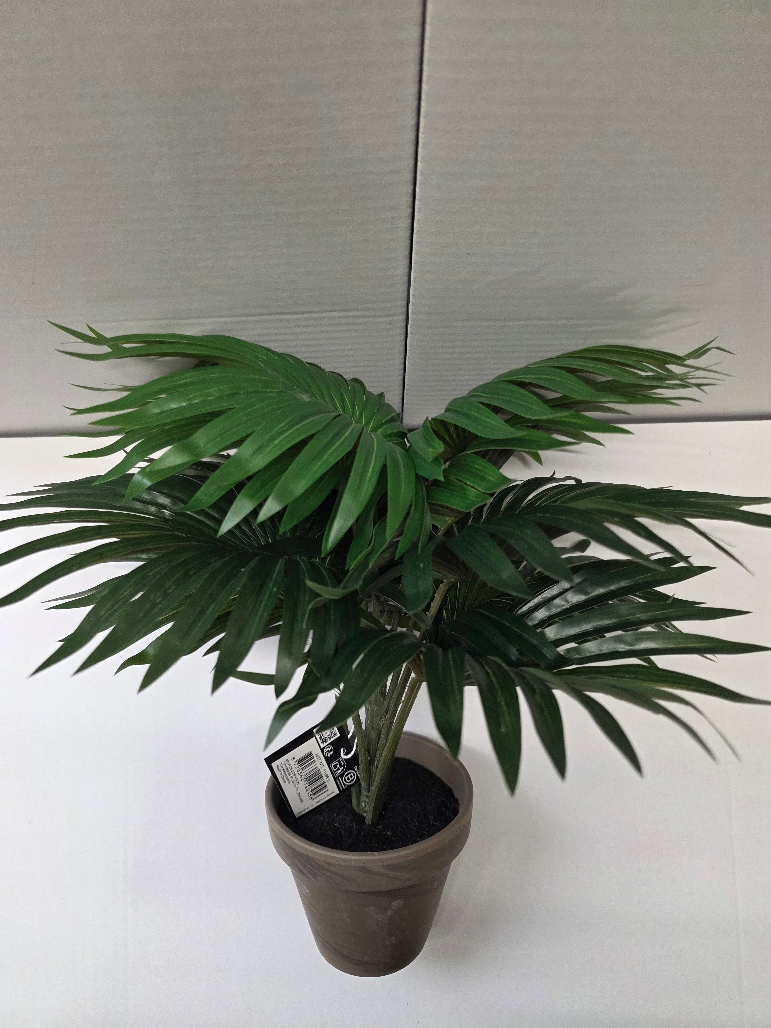 Palm Green In Pot Stan Grey