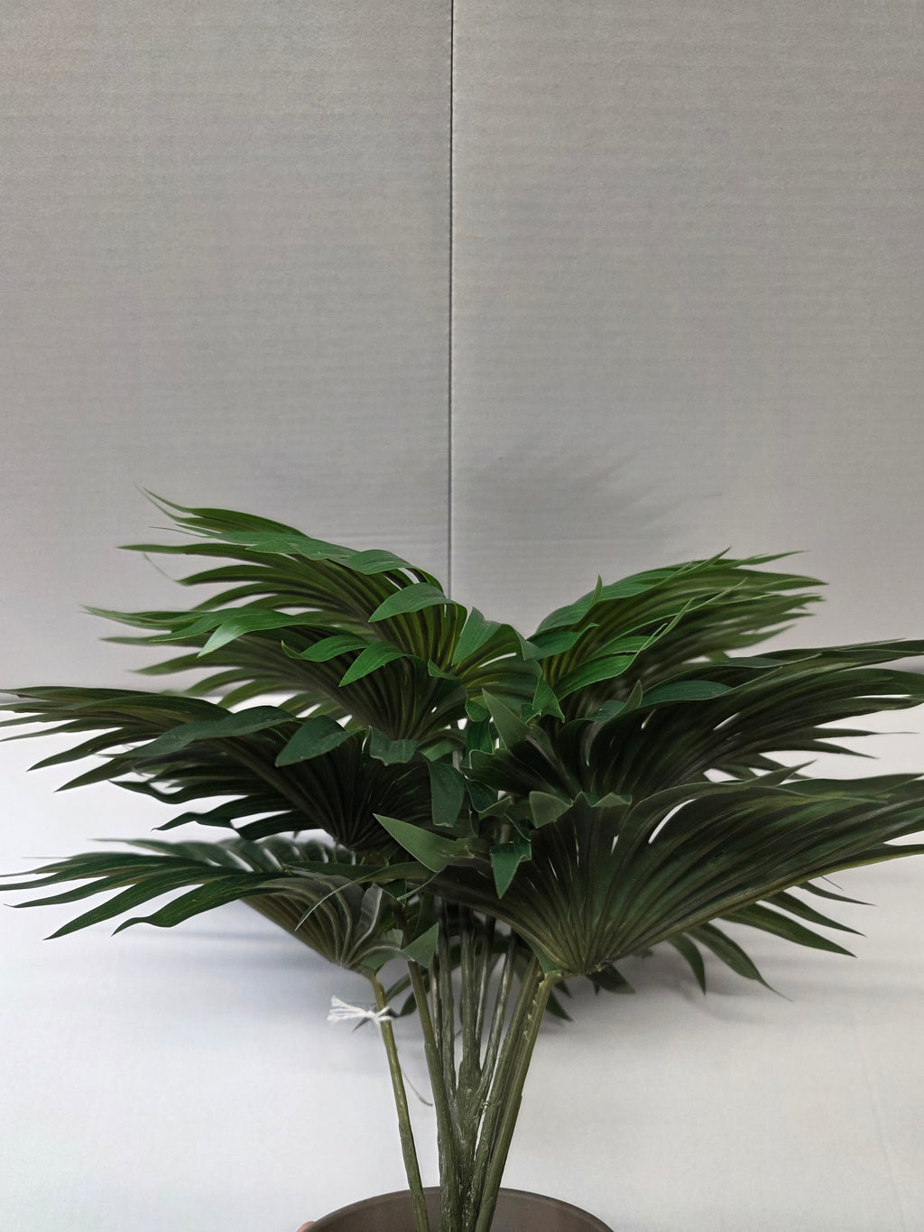 Palm Green In Pot Stan Grey