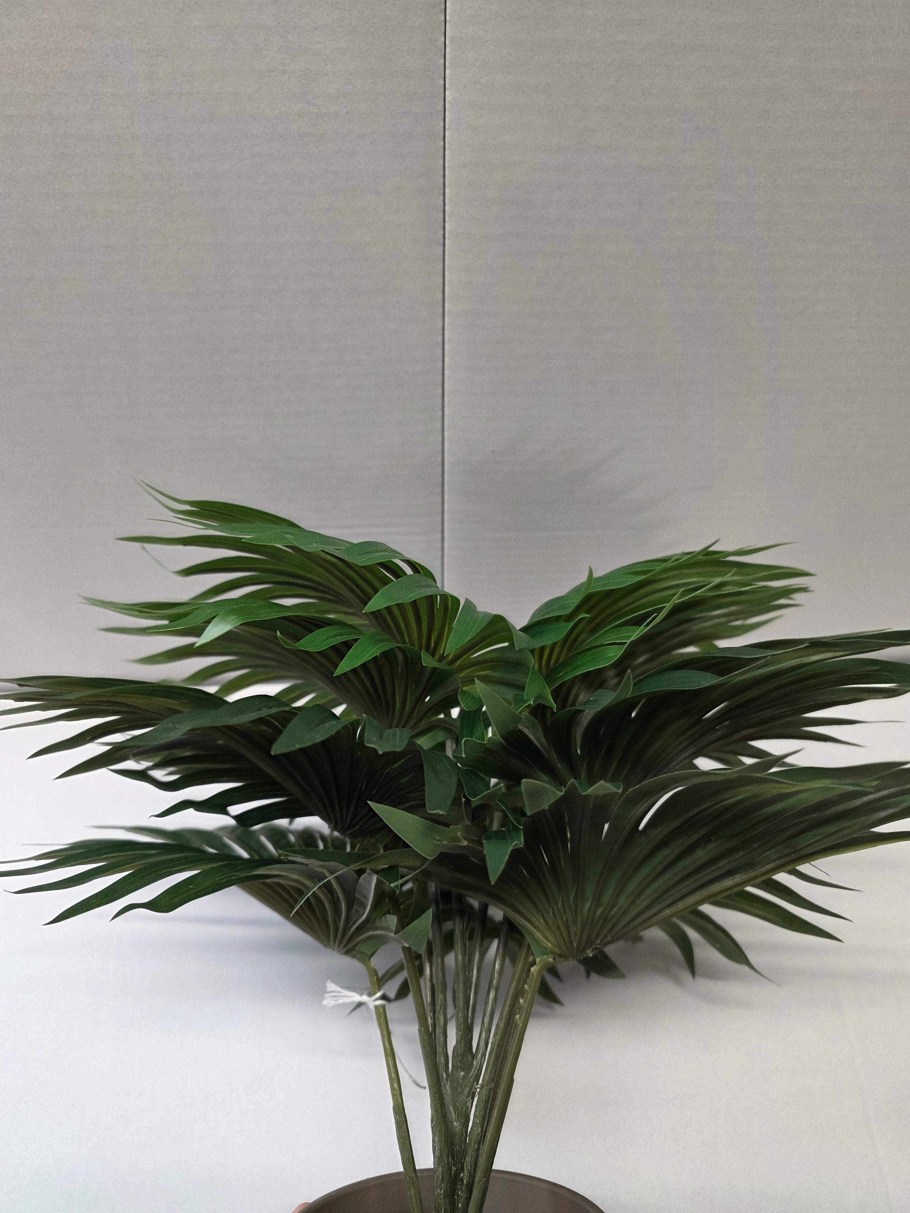 Palm Green In Pot Stan Grey