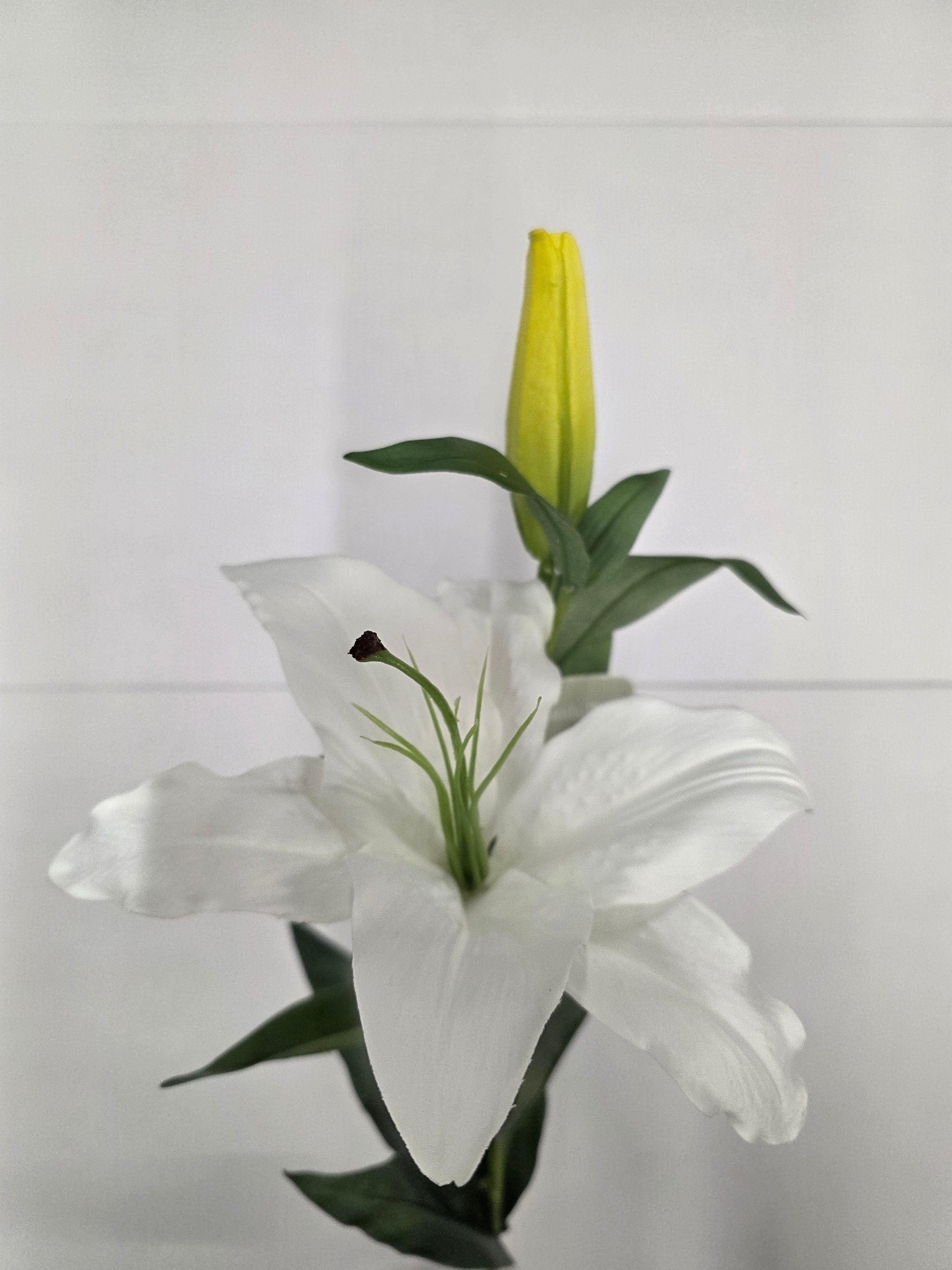 Artificial Lily Casablanca White 87cm