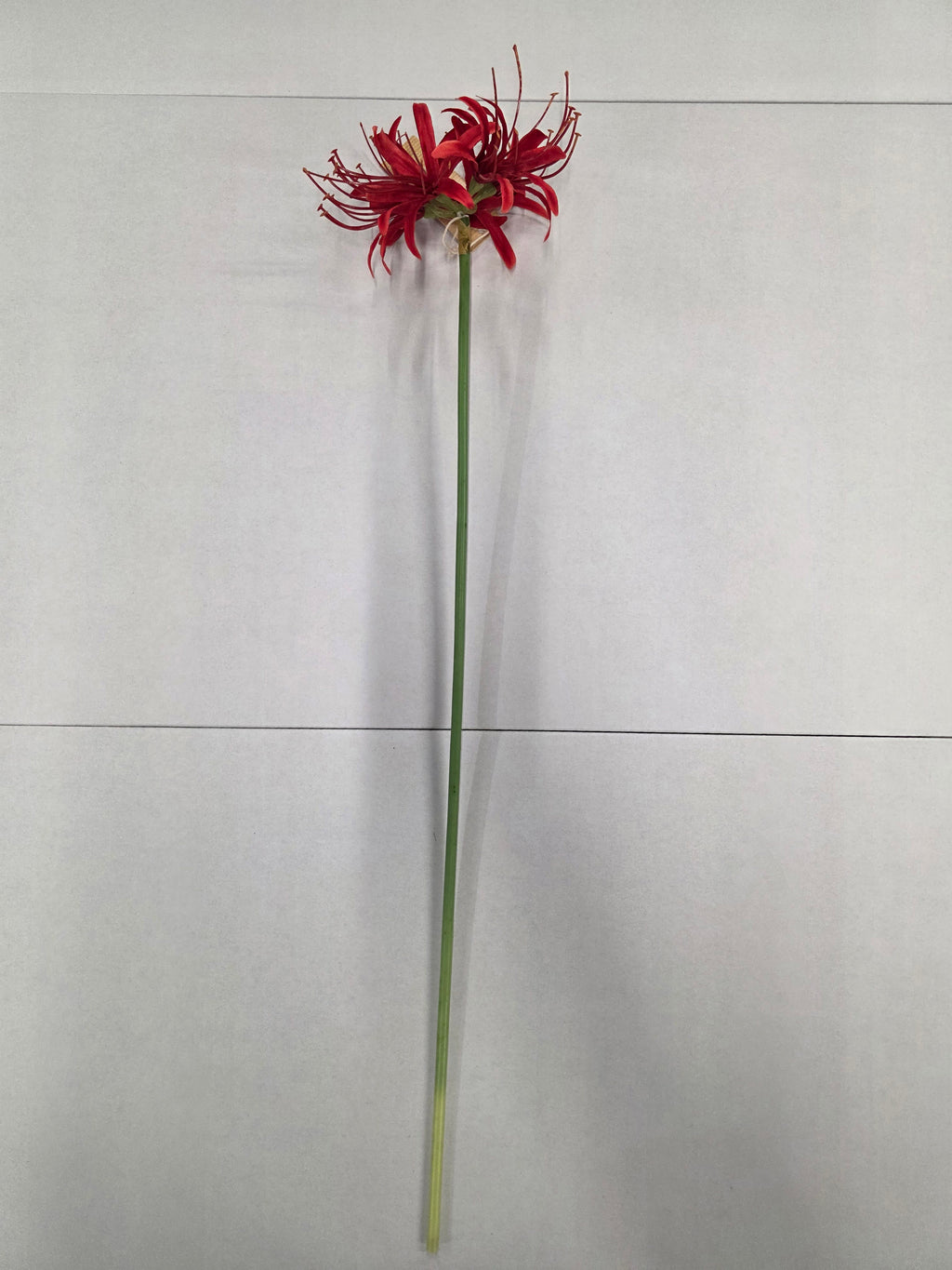 Artificial Lycoris Radiata Red 64cm