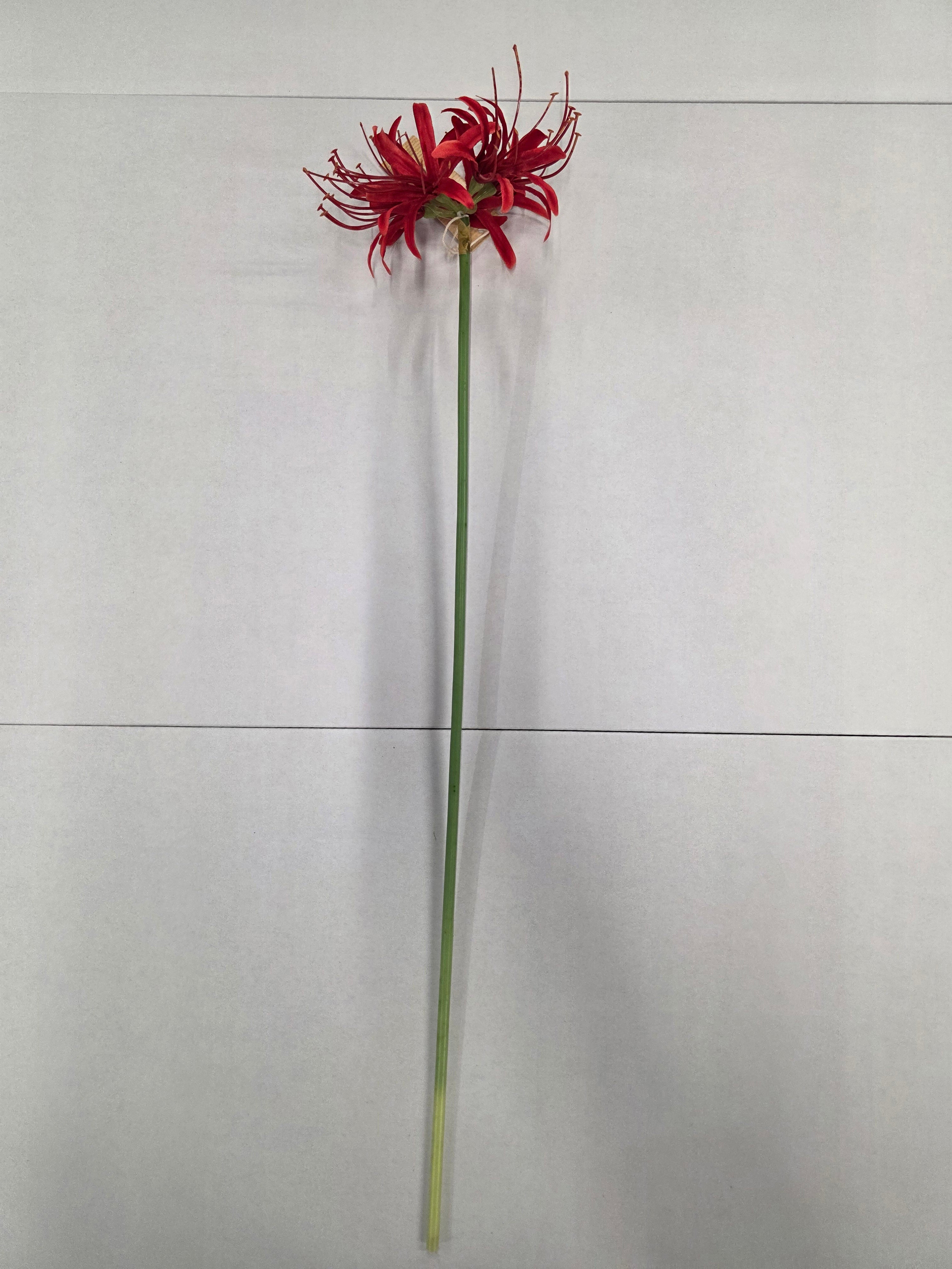 Artificial Lycoris Radiata Red 64cm