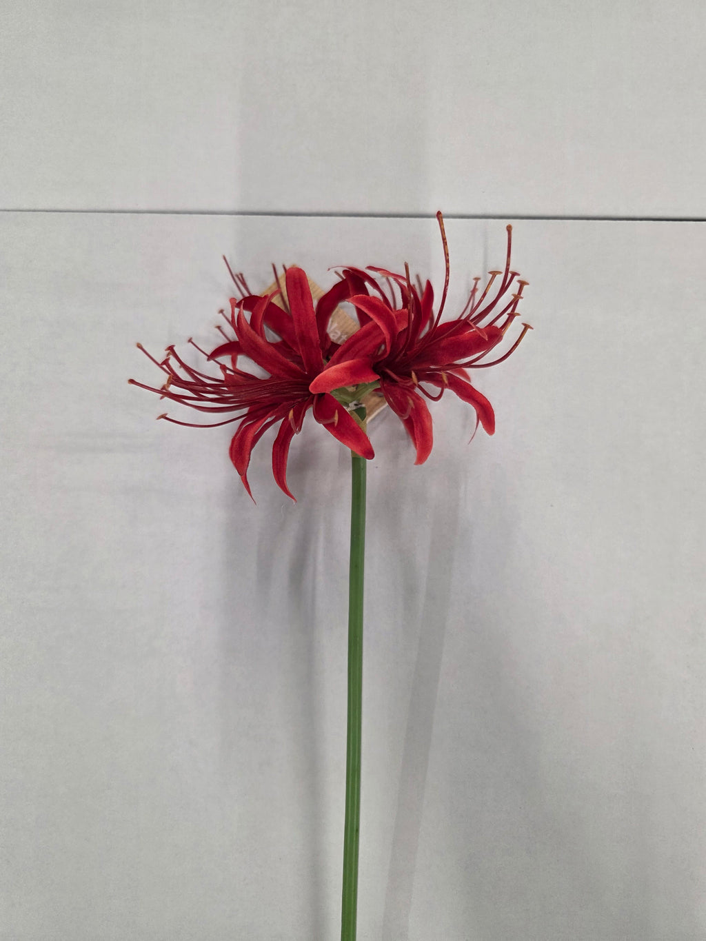 Artificial Lycoris Radiata Red 64cm