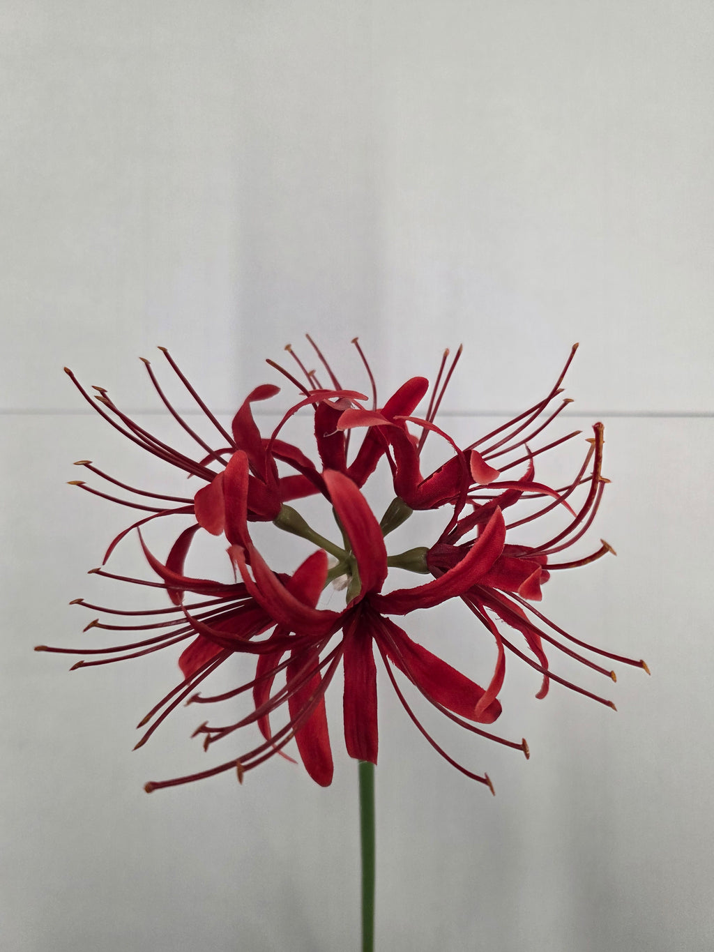 Artificial Lycoris Radiata Red 64cm