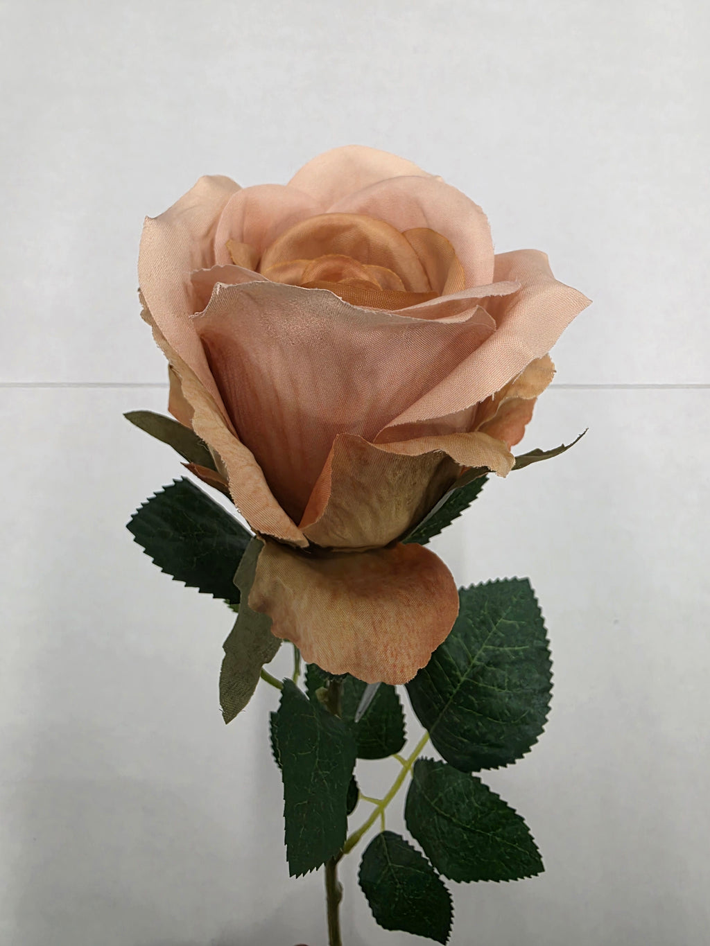 Artificial Essential Garden Rose Vintage Nude(PACK OF 4)